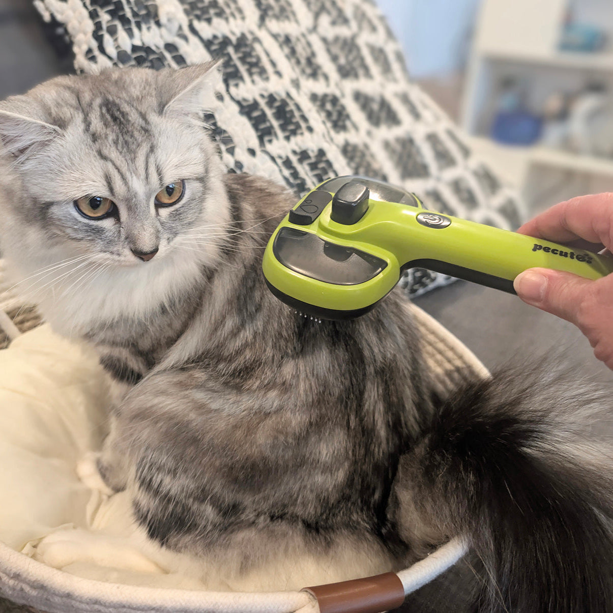 Pecute Steam Cat Brush Self-Cleaning Grooming with 2 Water Spray Modes