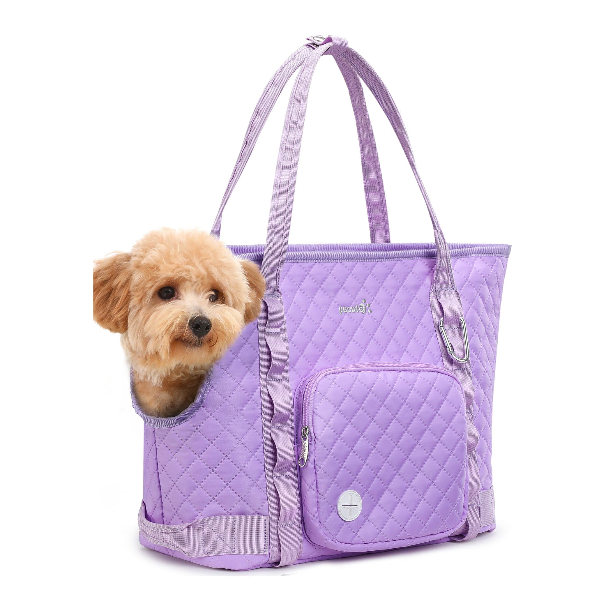 Carrier de bourse pour chiens pectaire léger pour les petits chiens