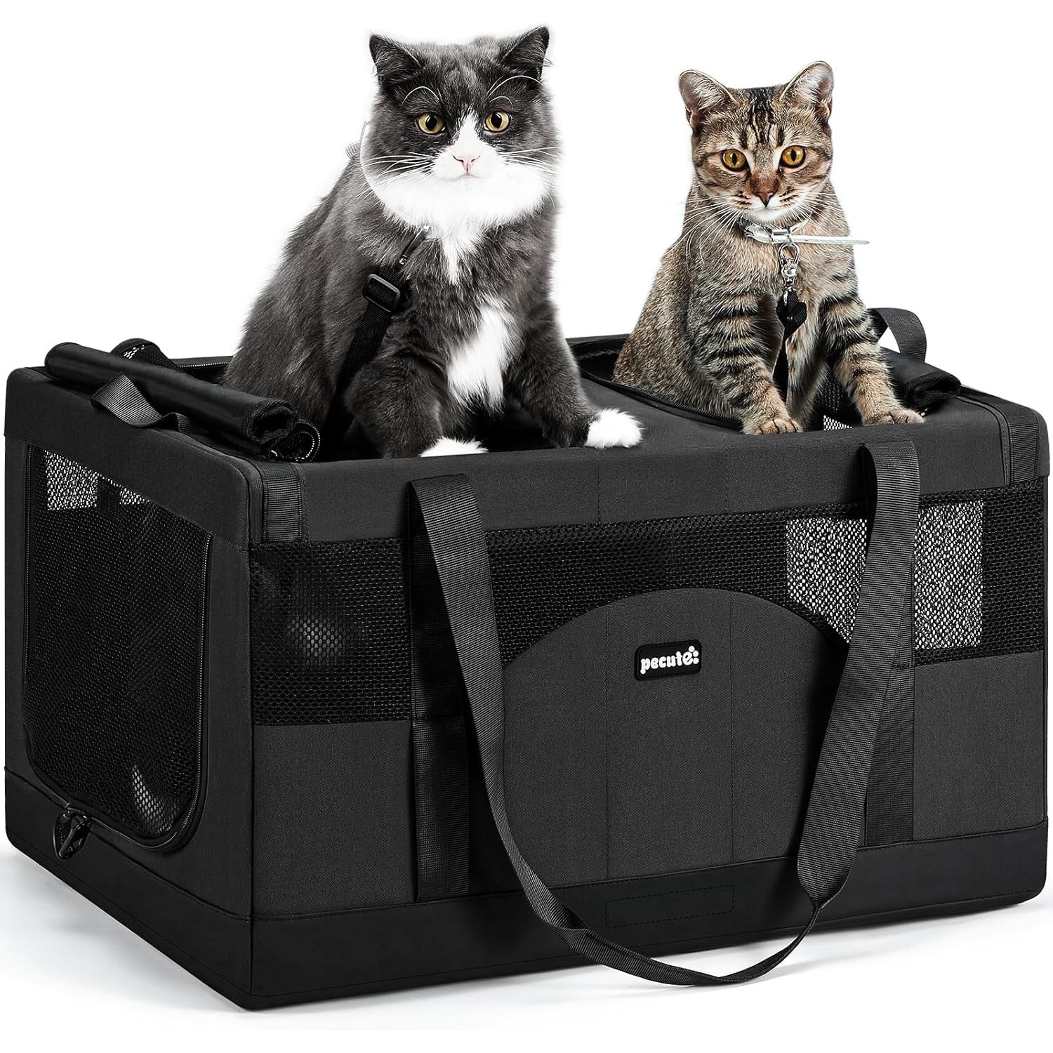 Pecute Cat Dual-Compartment Frame Handbag