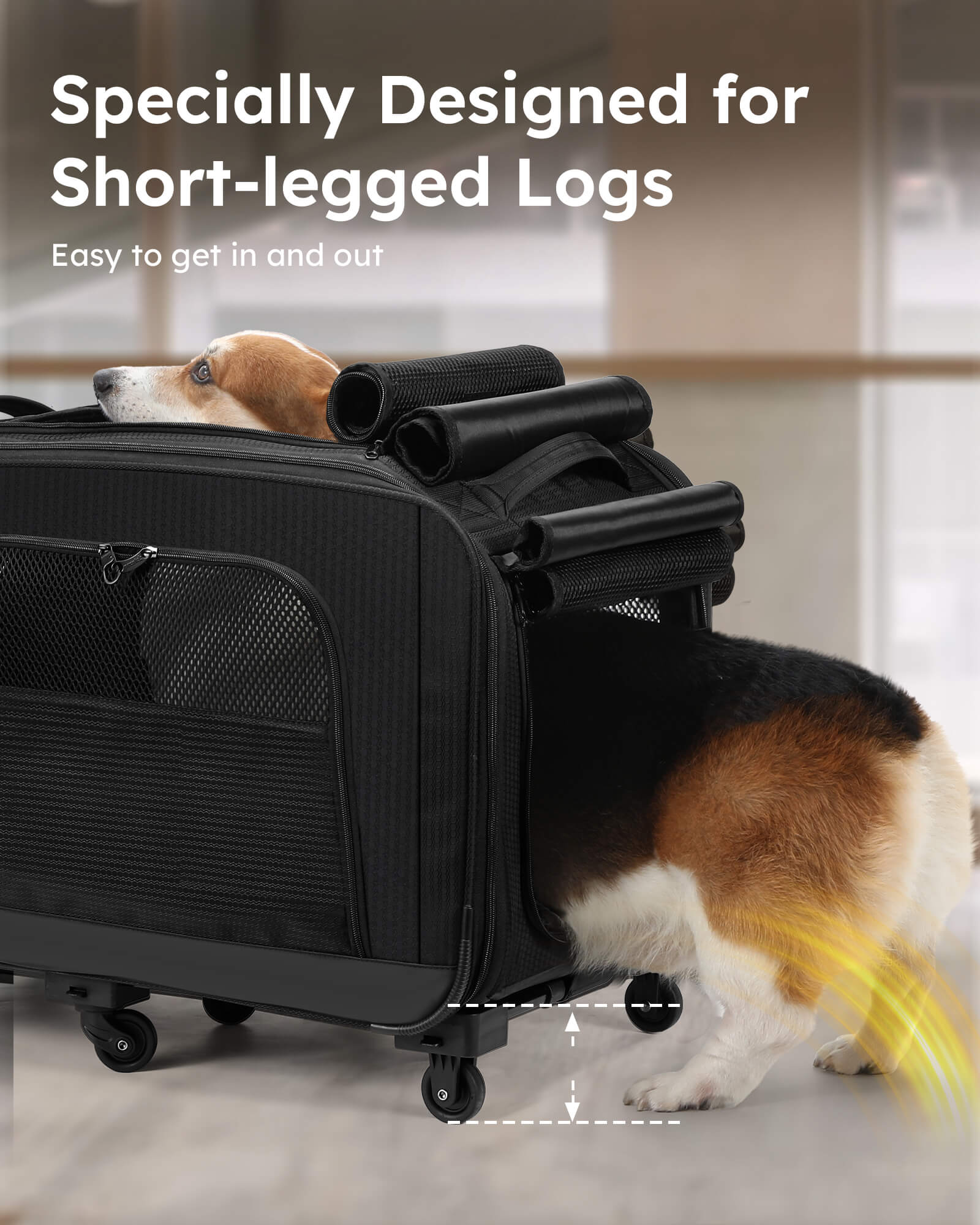 Pecute Pet Stroller for Short Legged Dogs Dog Carrier with Wheels for Dachshund, French Bulldog, Basset Hound, Corgi