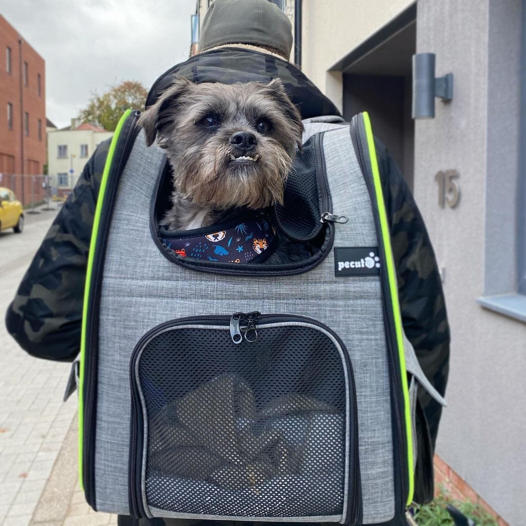 Pecute Cat Carrier Dog Backpack Expandable (Grey) - As Seen on TV