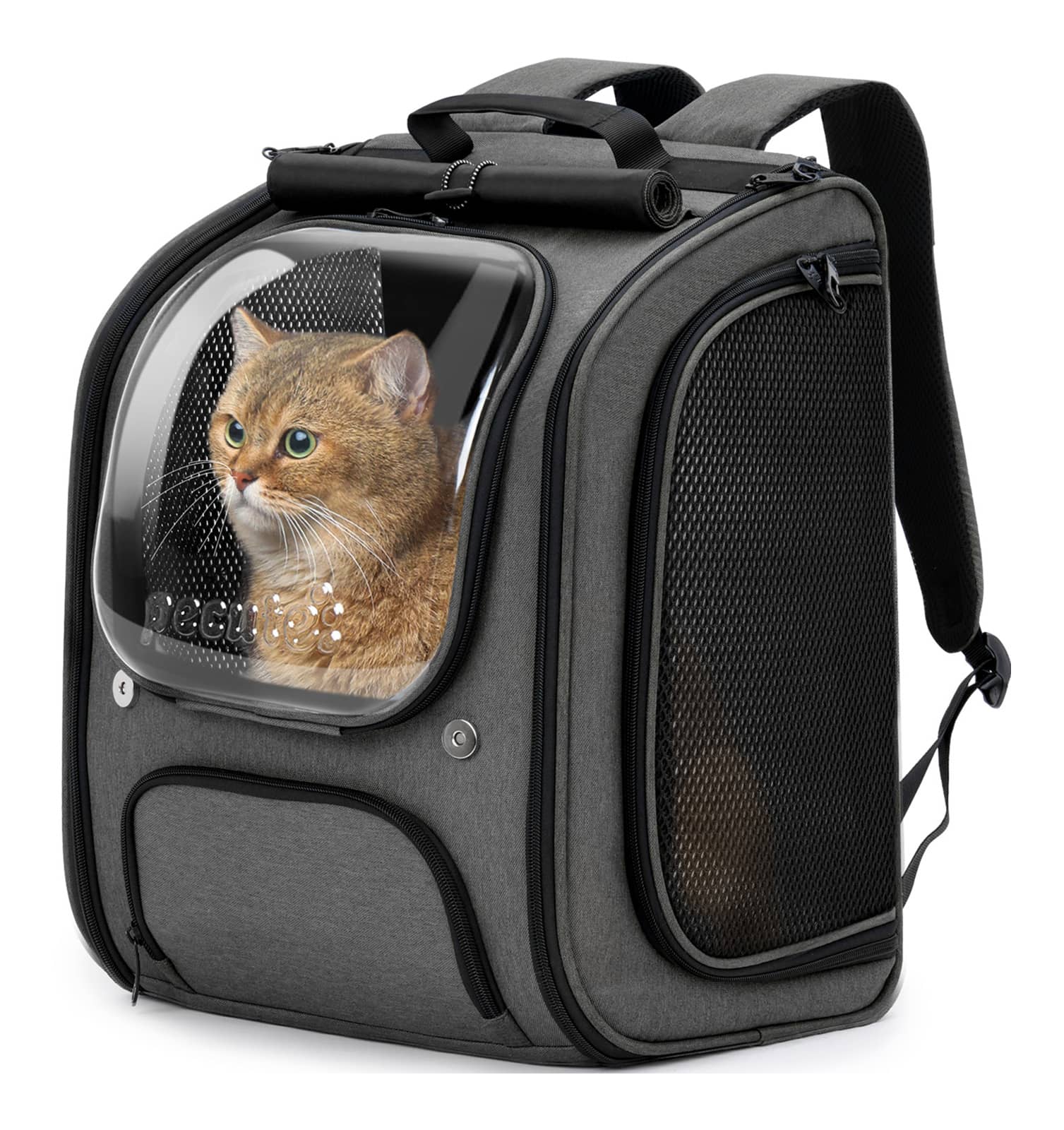 Pecute Bubble Cat Backpack Carrier Large Space Ergonomic 3D Design Breathable & Shaded