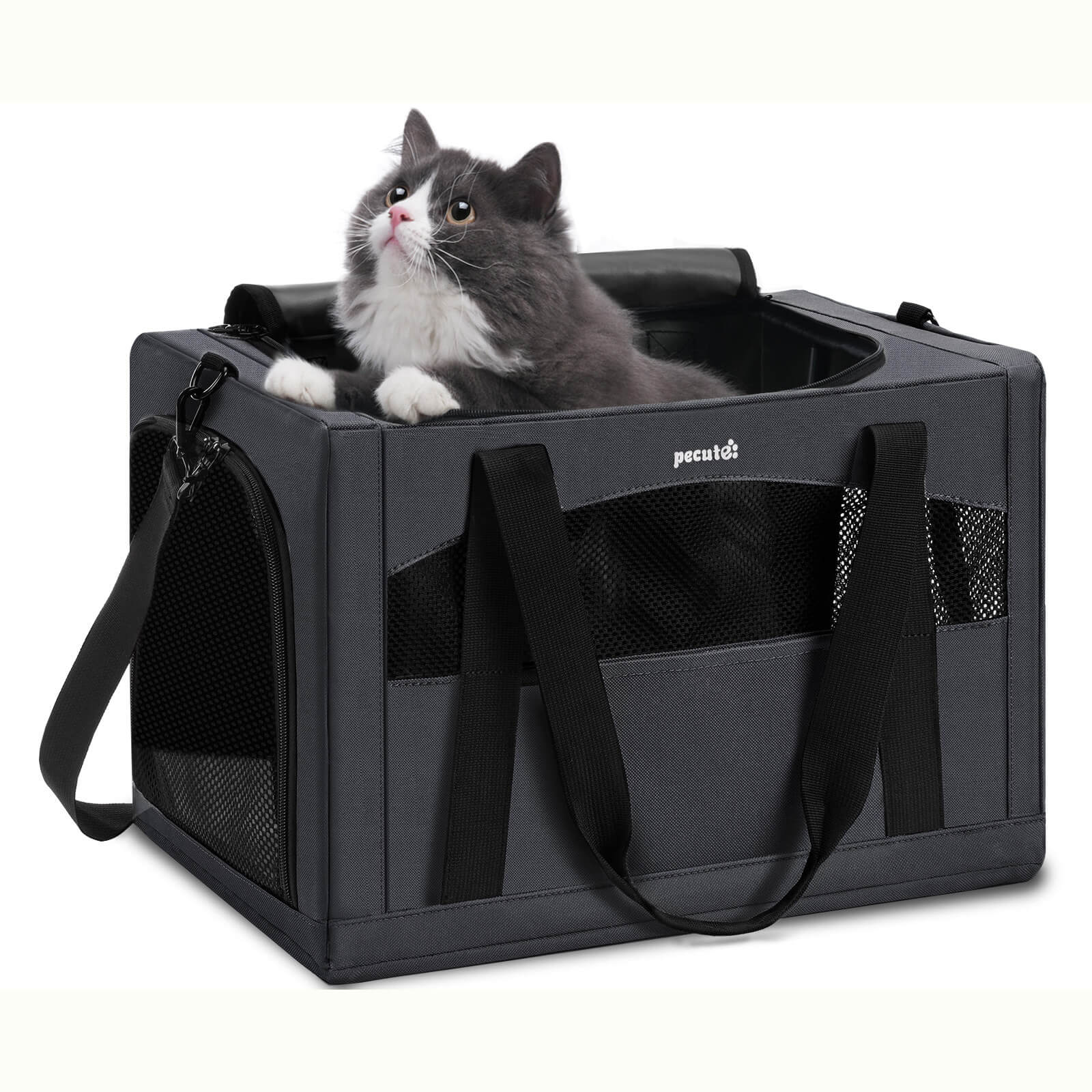 Pecute Cat Carrier Handbag Stable Breathable and Portable for Travel and Outing