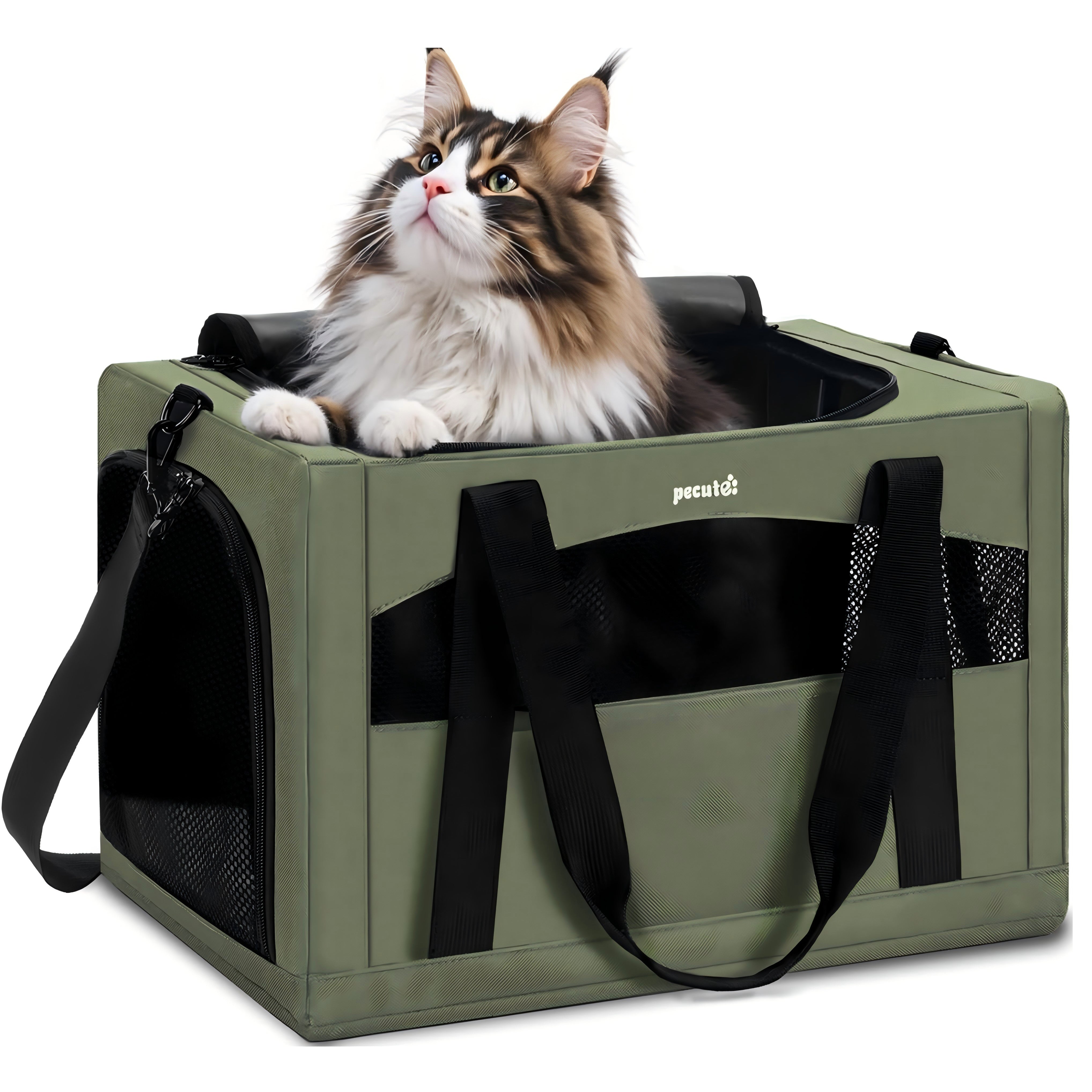 Pecute Cat Carrier Handbag Stable Breathable and Portable for Travel and Outing