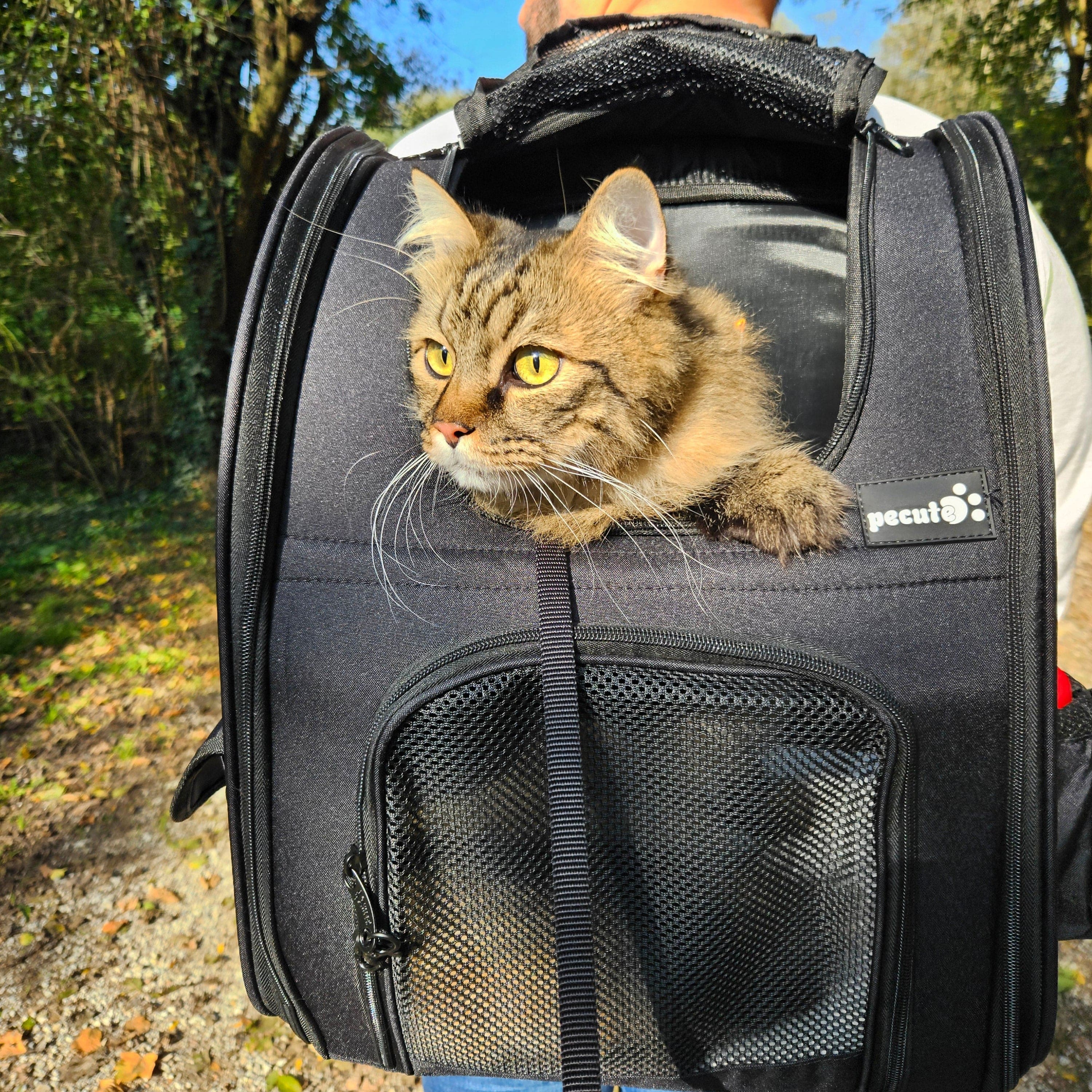 Pecute Cat Carrier Dog Backpack Expandable(Black)