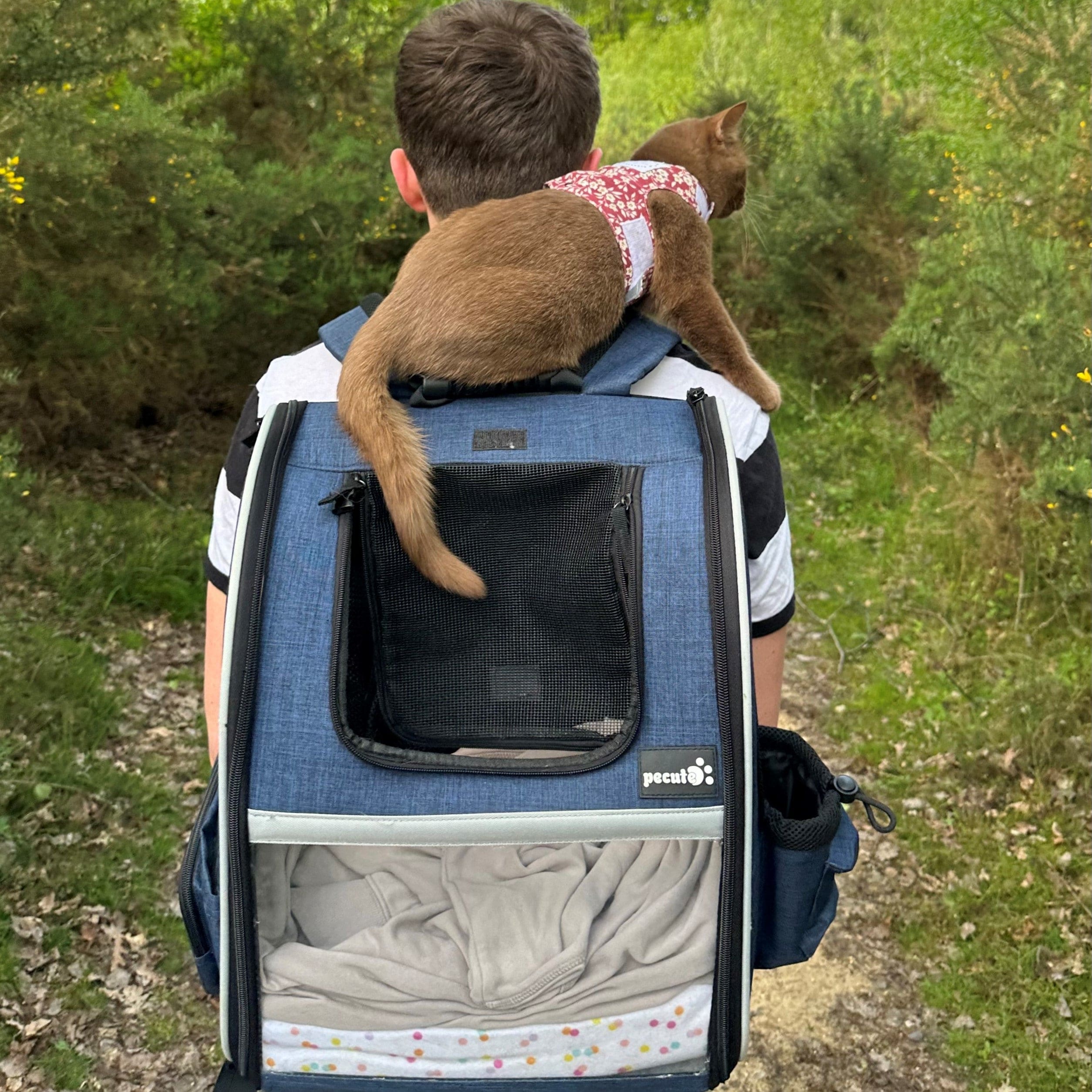 Pecute Portable Breathable Rucksack Pet Carrier Backpack