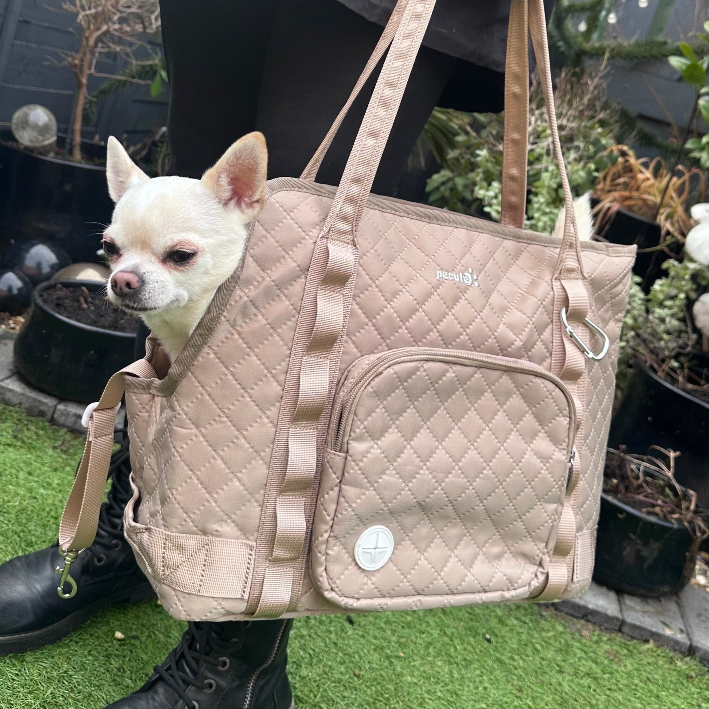 Carrier de bourse pour chiens pectaire léger pour les petits chiens