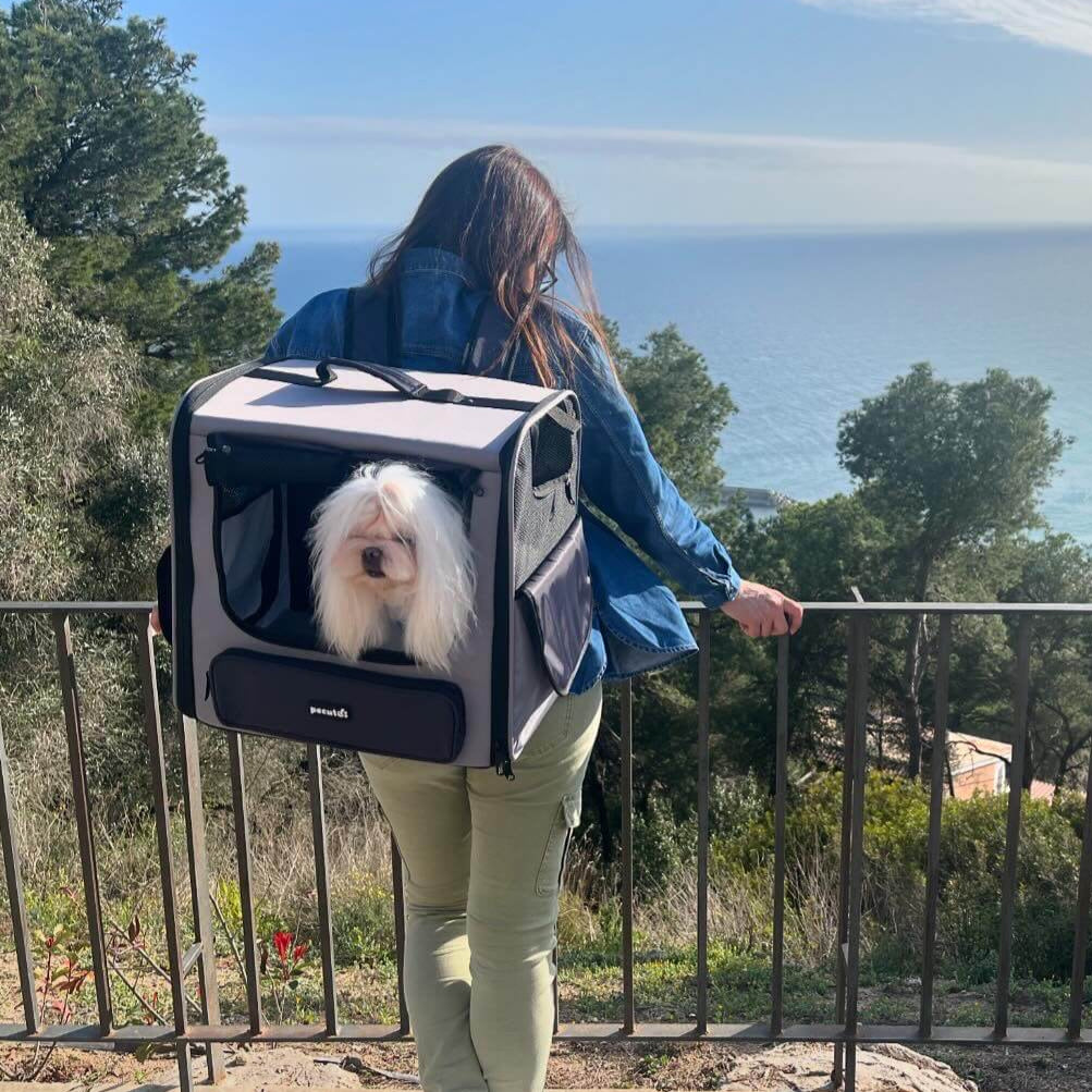 Pecute Hardtop Widened Pet Carrier Backpack Dog Backpack