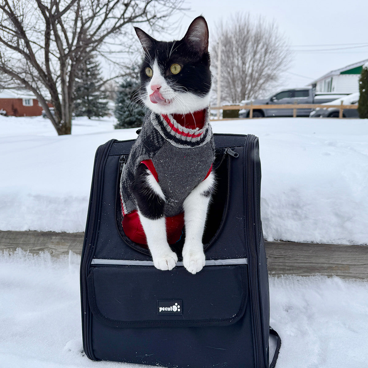 Pecute Trapezoidal Cat Carrier Pet Backpack