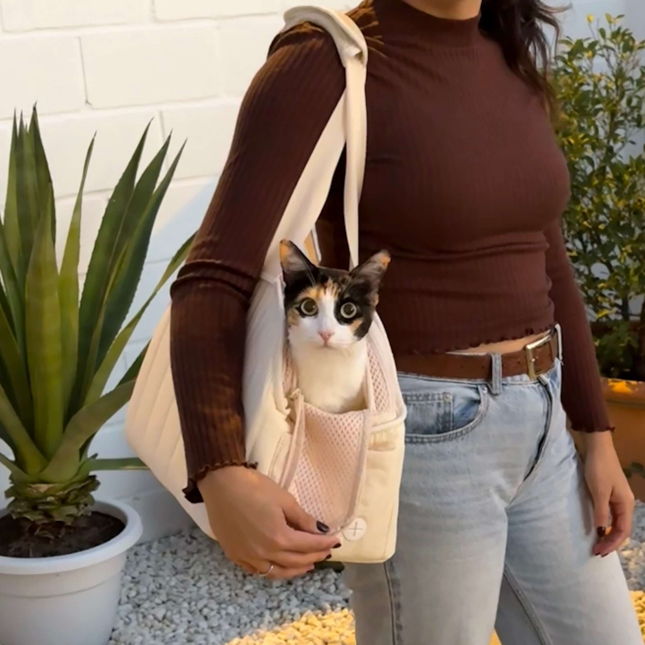 Pecute Ultra-Light Stylish Pet Shoulder Handbag Cat Carrier Bag