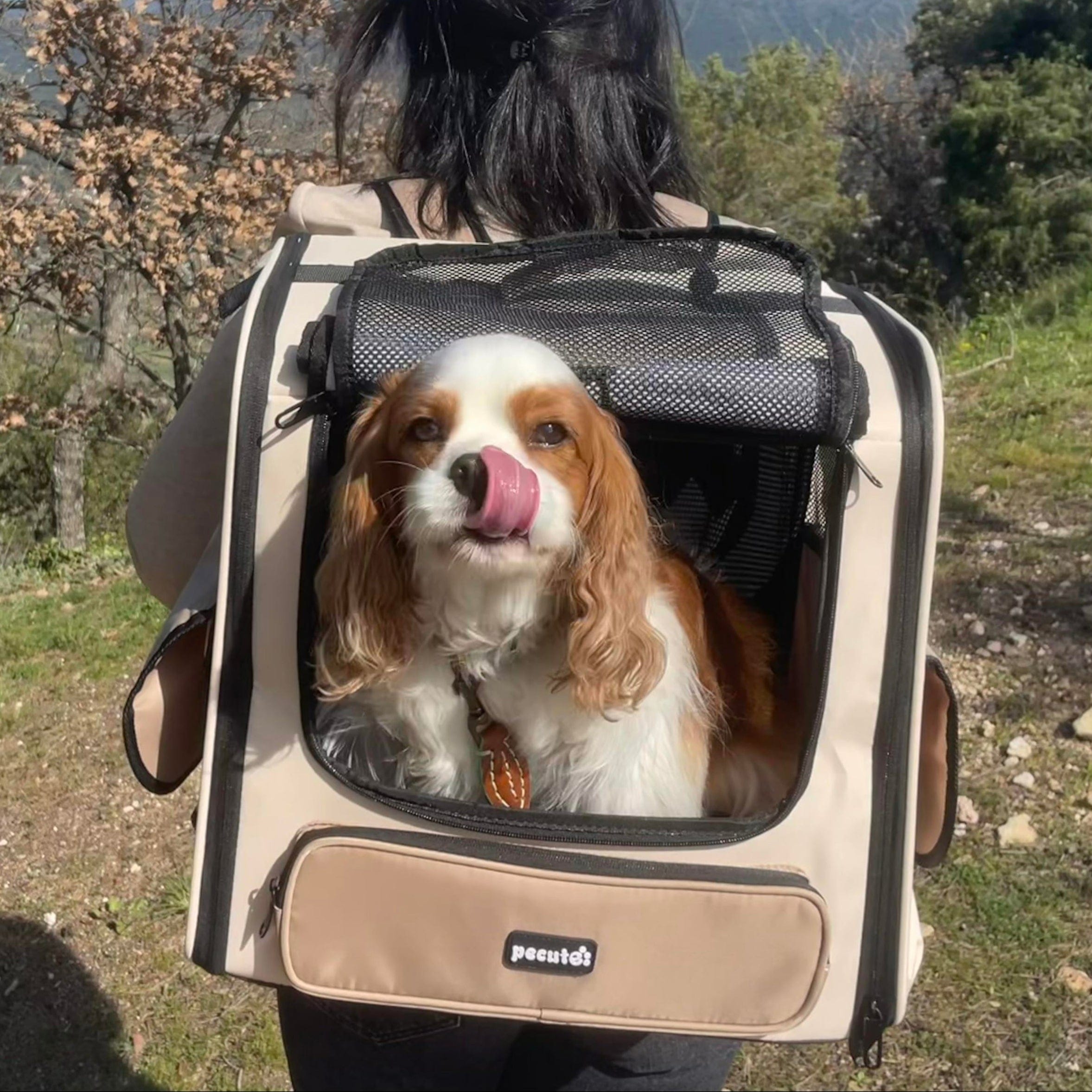 Pecute Hardtop Widened Pet Carrier Backpack Dog Backpack