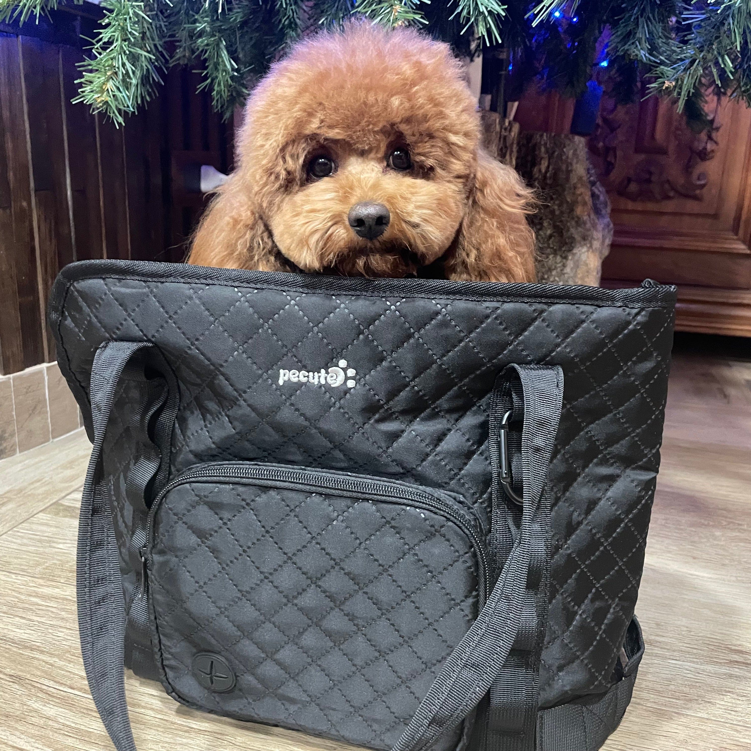 Carrier de bourse pour chiens pectaire léger pour les petits chiens