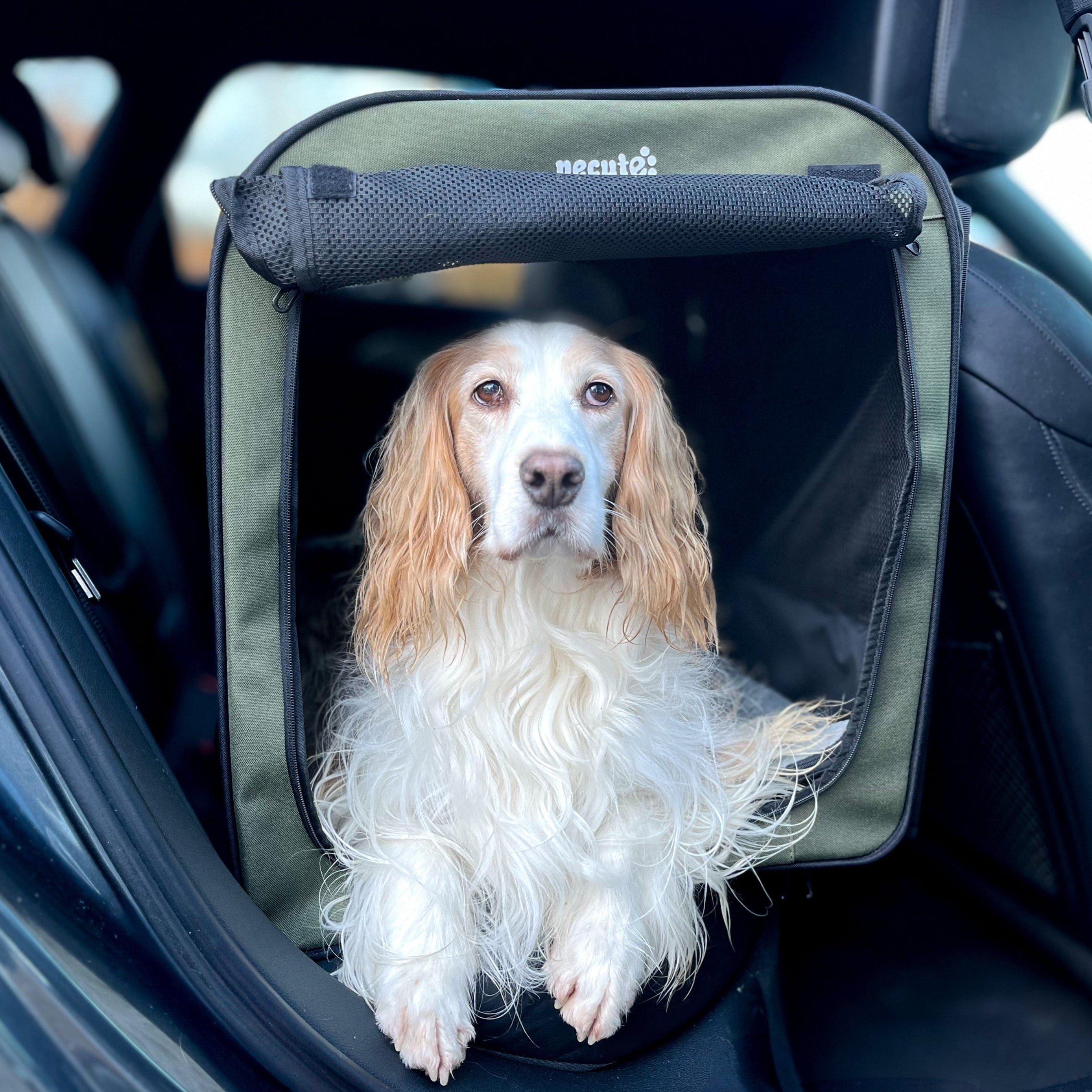 Pecute Portable Dog Car Carrier Crate Transportation Carrier Light Weight