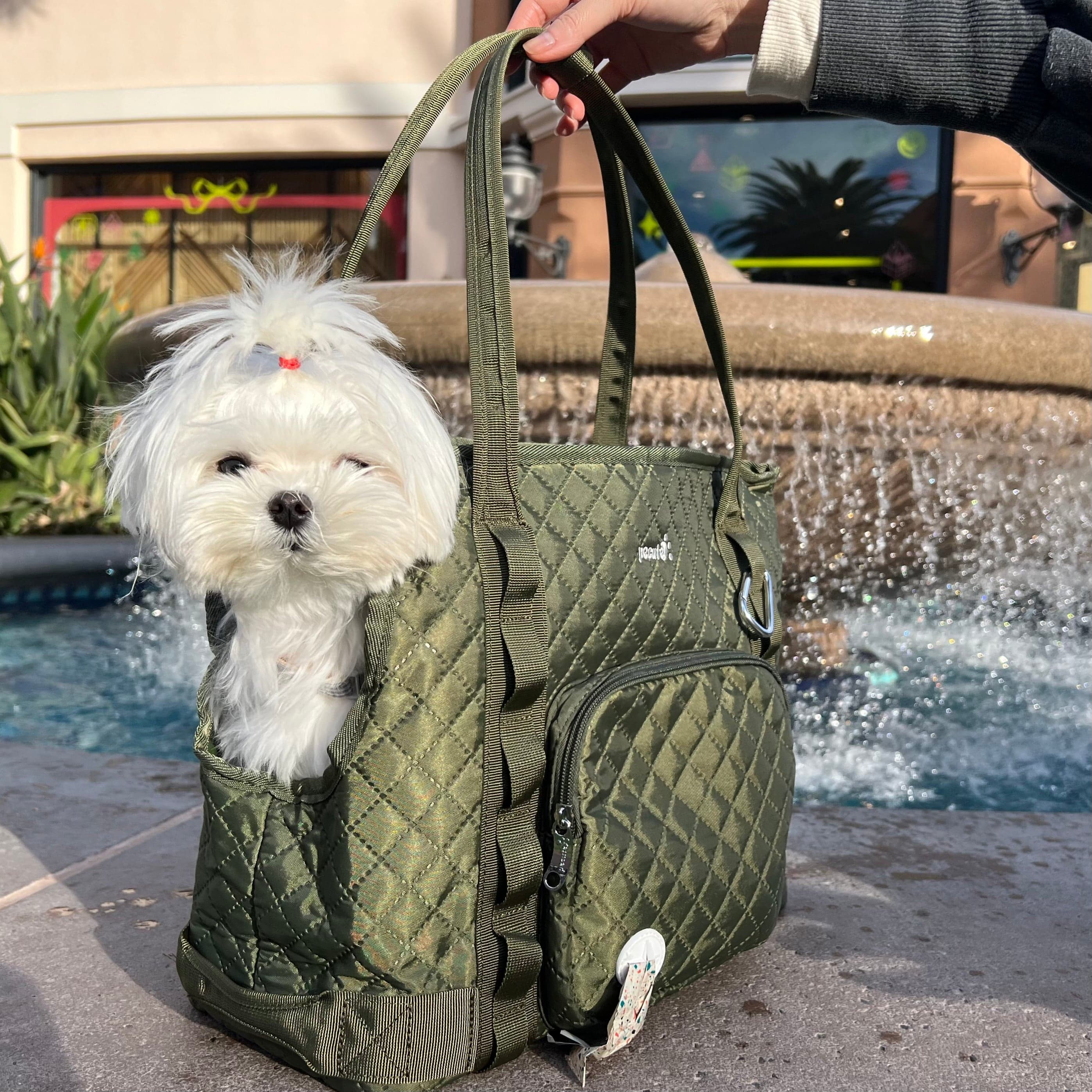 Carrier de bourse pour chiens pectaire léger pour les petits chiens