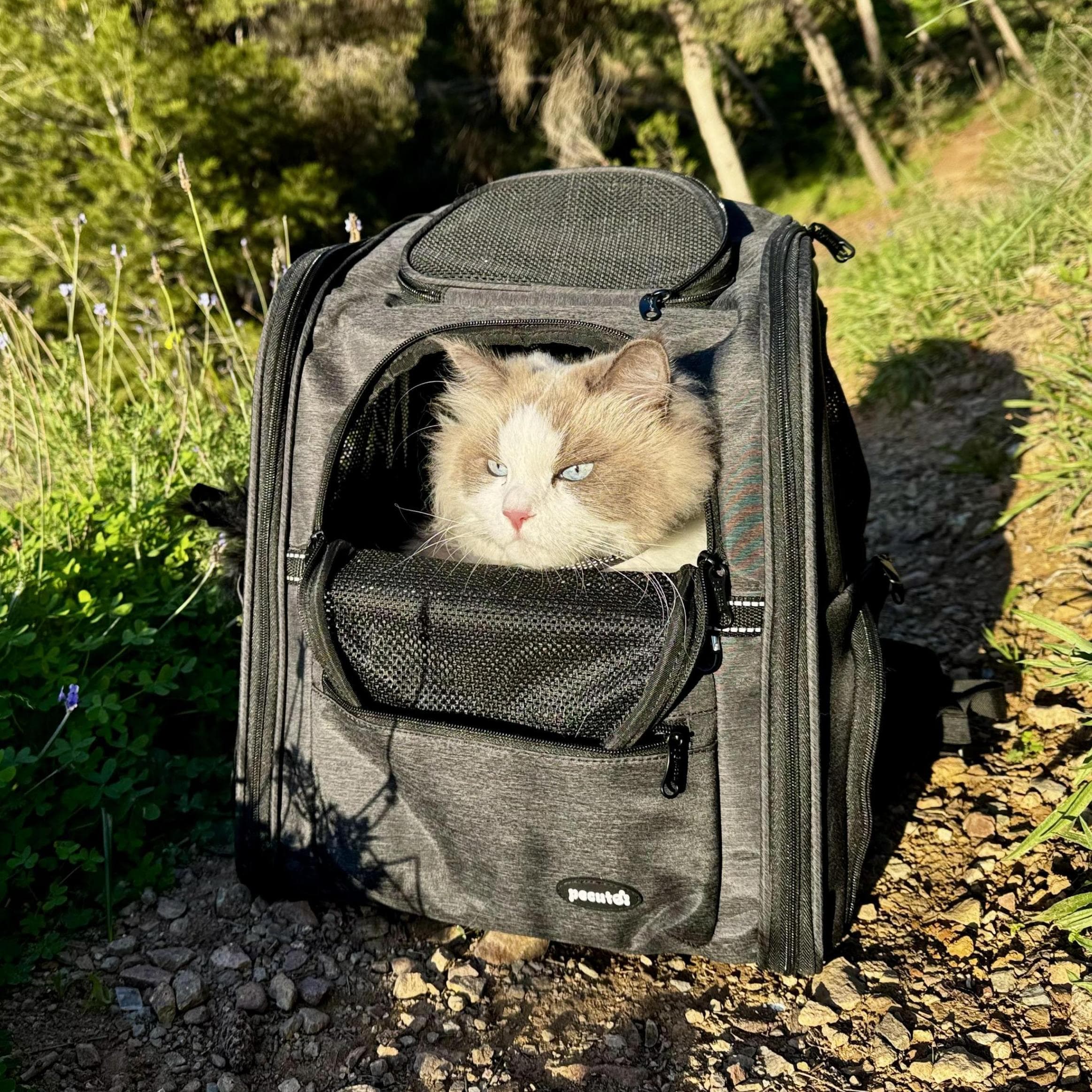 Pecute Suspended Anti-Gravity Weight-Reducing Pet Carrier Backpack