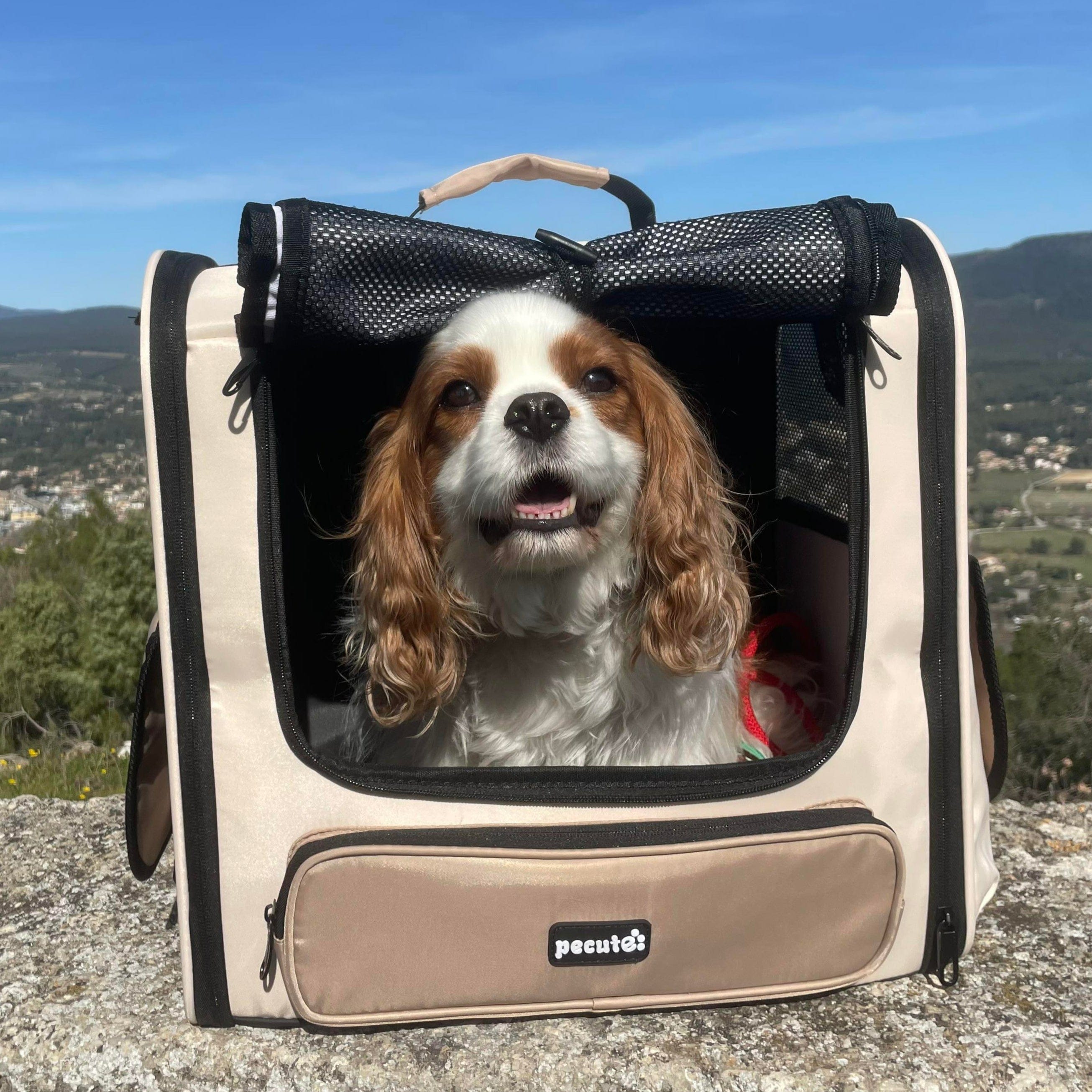 Pecute Hardtop Widened Pet Carrier Backpack Dog Backpack