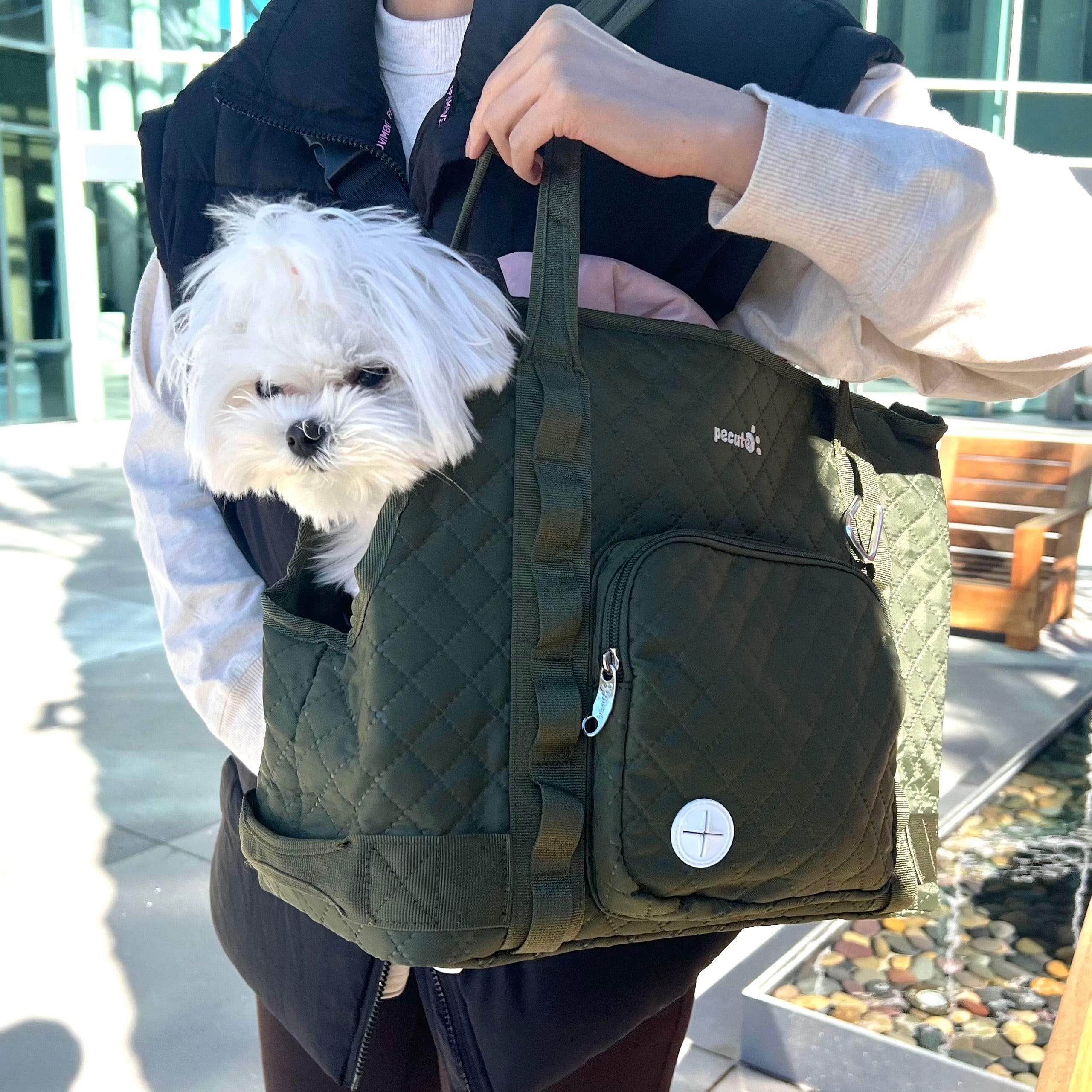 Carrier de bourse pour chiens pectaire léger pour les petits chiens