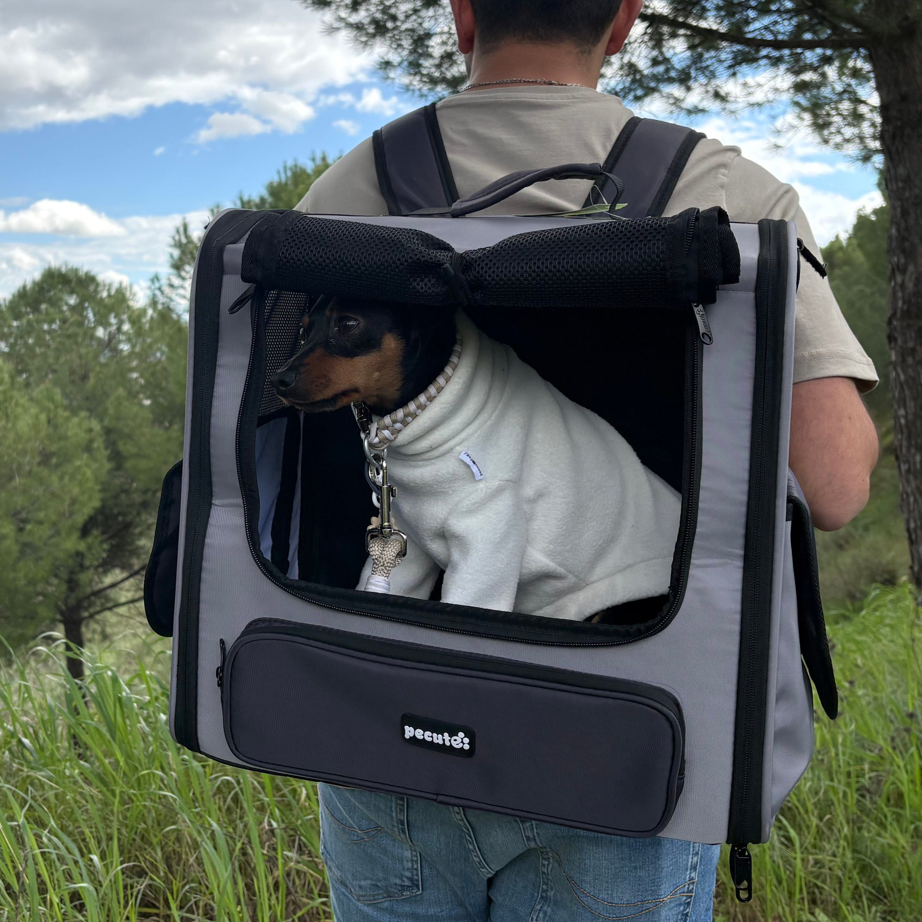 Pecute Hardtop Widened Pet Carrier Backpack Dog Backpack