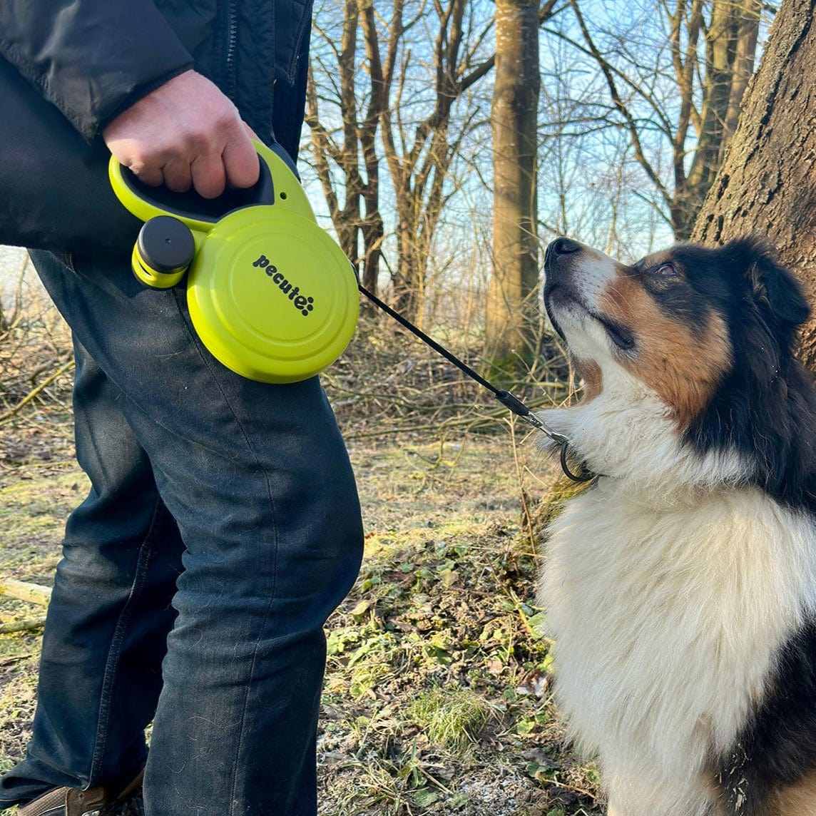 Pecute Retractable Dog Leash with Dog Waste Bag Holder
