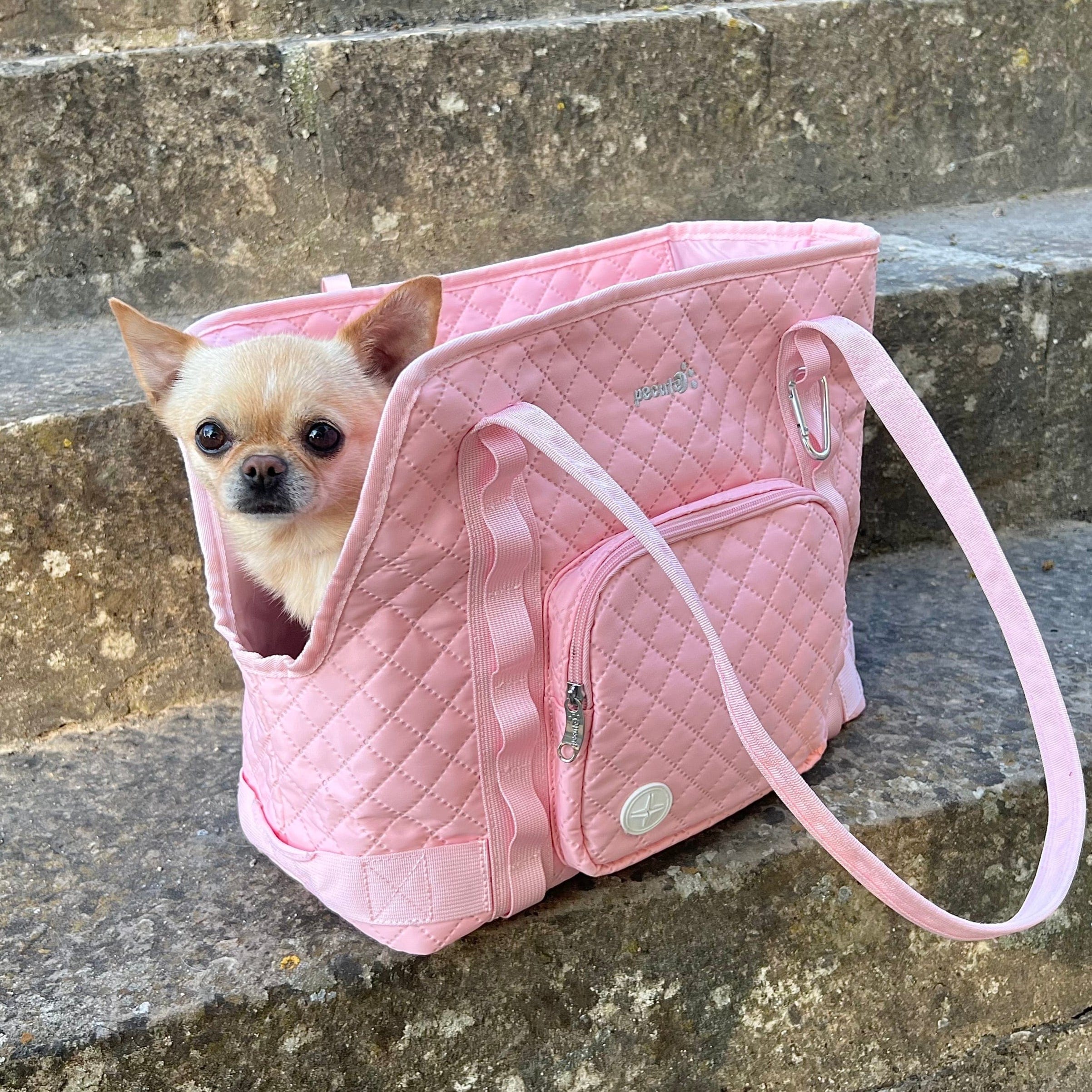 Carrier de bourse pour chiens pectaire léger pour les petits chiens