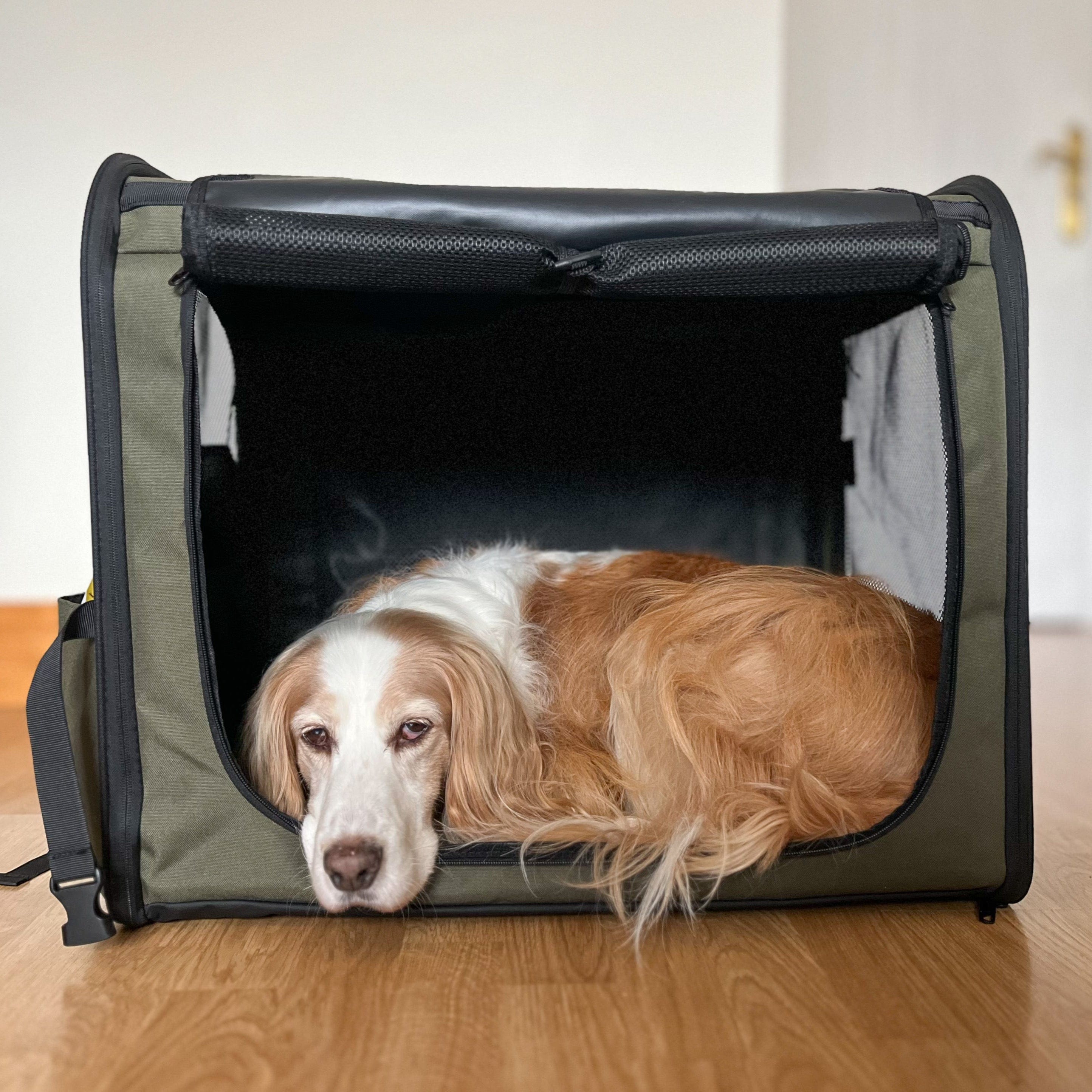 Pecute Portable Dog Car Carrier Crate Transportation Carrier Light Weight