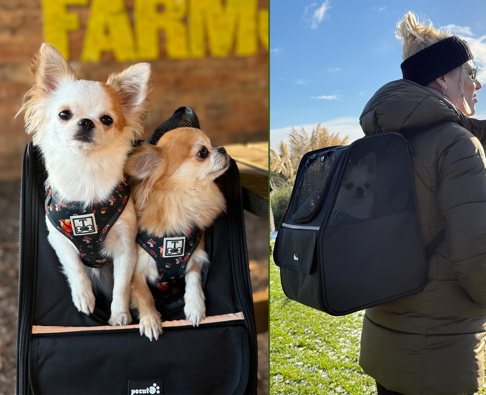 Pecute Trapezoidal Cat Carrier Pet Backpack