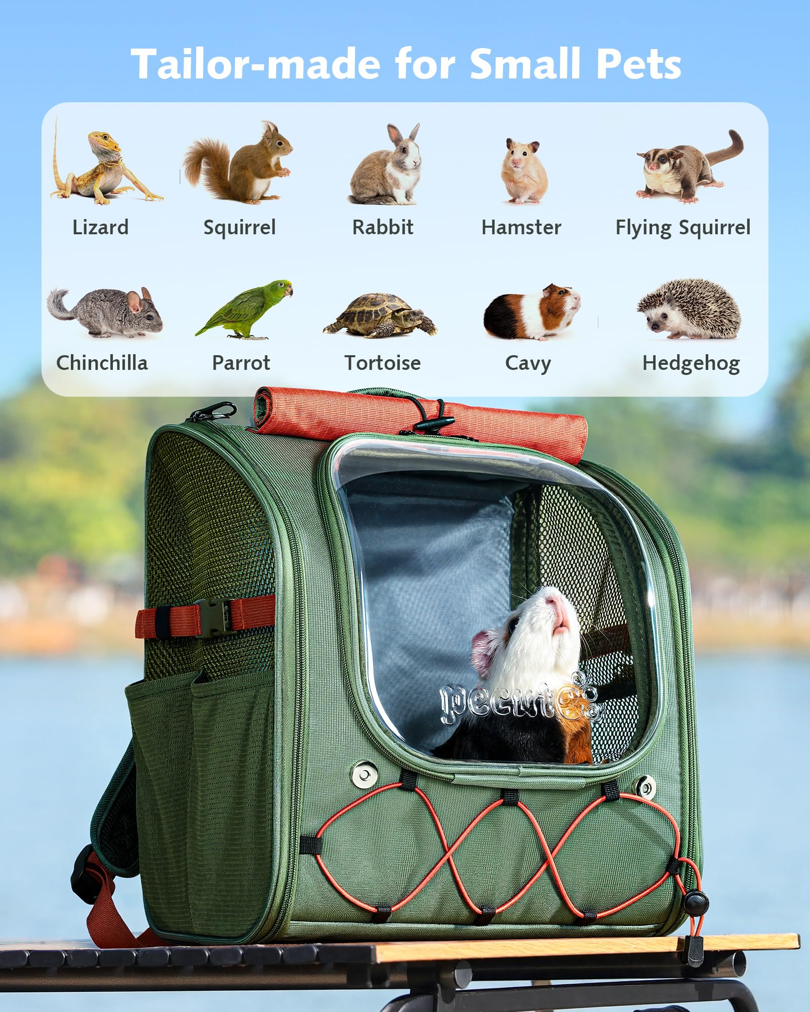 Pecute Small Pet Carrier Breathable Guinea Pig Carrier
