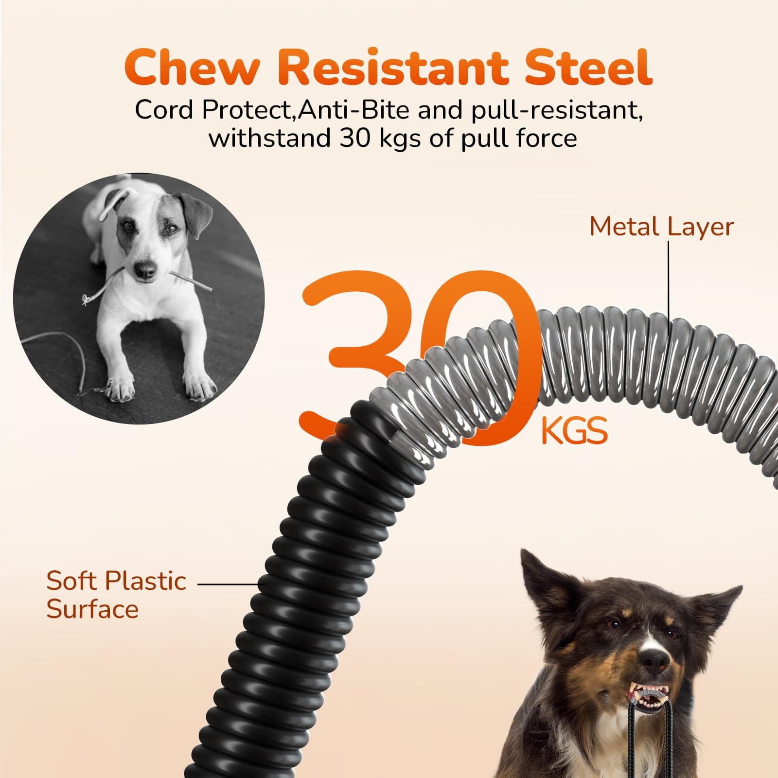 Cuscinetto riscaldante per animali domestici aggiornato Pecute Cuscinetto riscaldante costante Sicuro elettrico