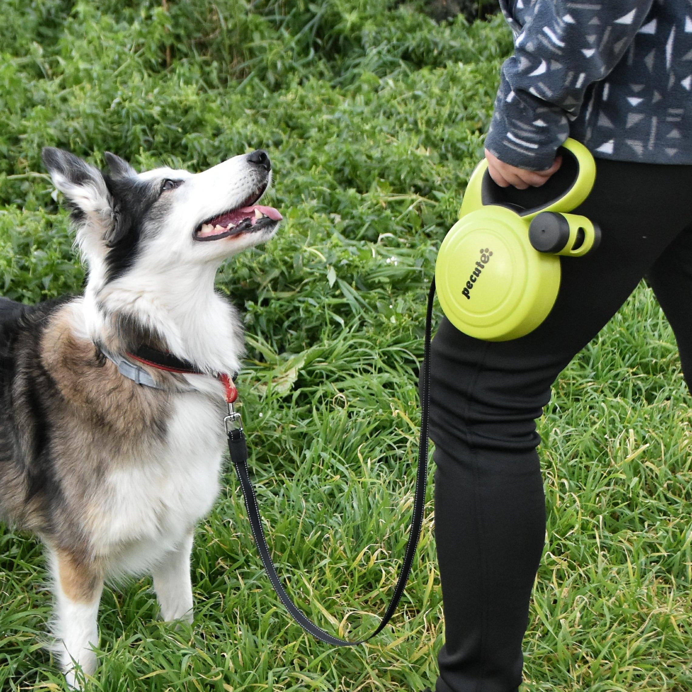 Pecute Retractable Dog Leash with Dog Waste Bag Holder