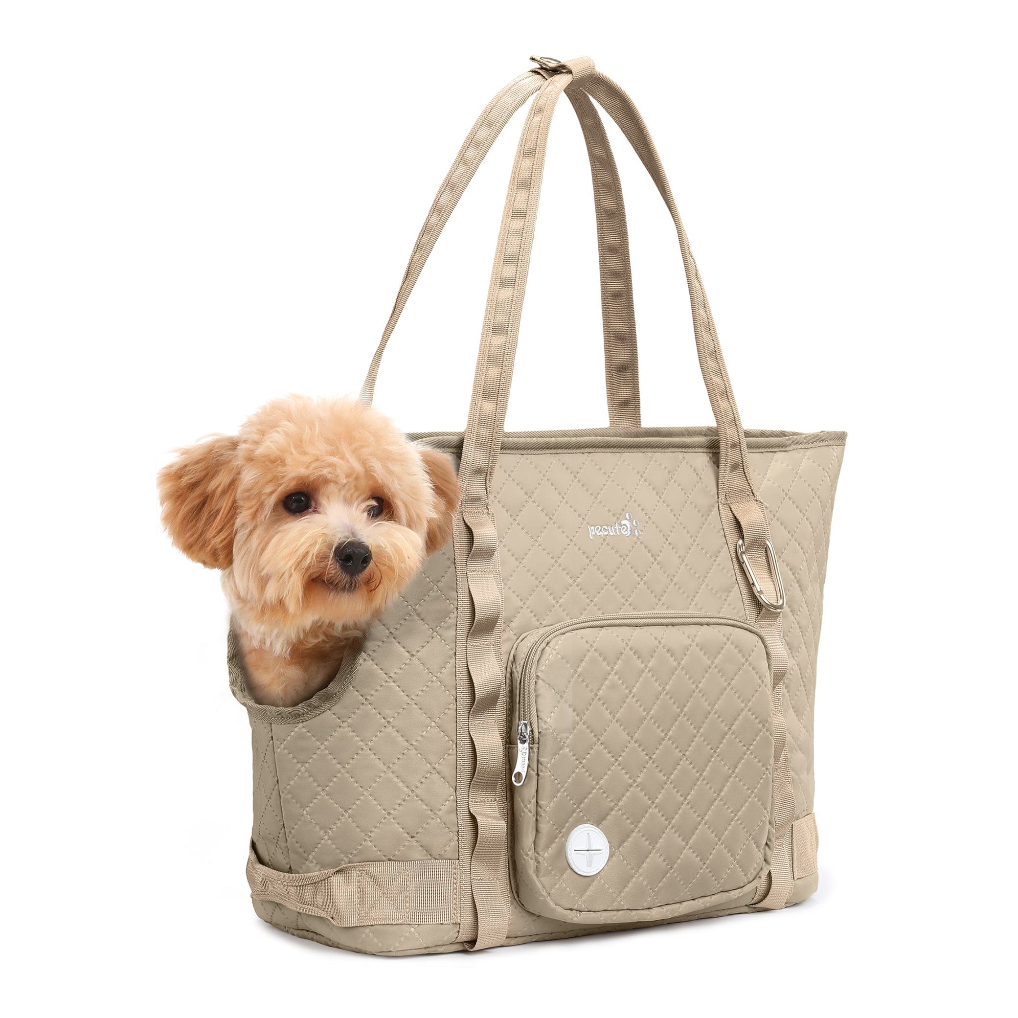 Carrier de bourse pour chiens pectaire léger pour les petits chiens