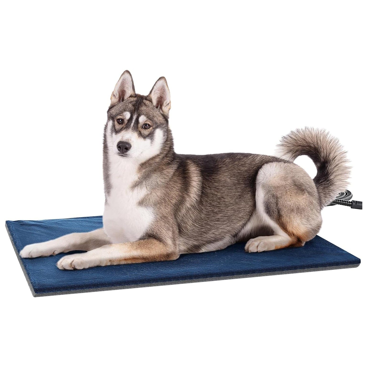 Cuscinetto riscaldante per animali domestici aggiornato Pecute Cuscinetto riscaldante costante Sicuro elettrico