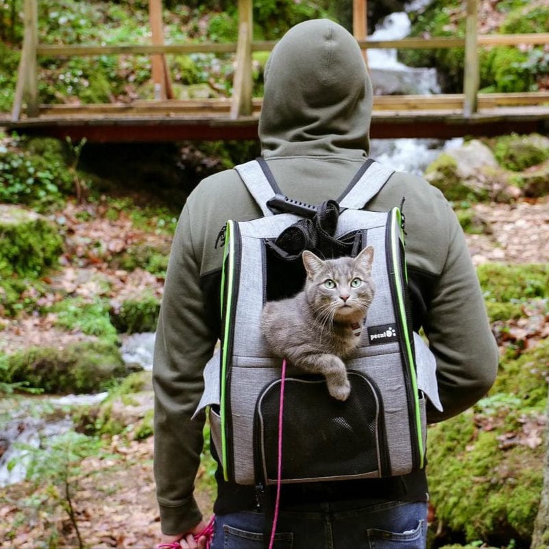 Pecute Cat Carrier Dog Backpack Expandable (Grey)