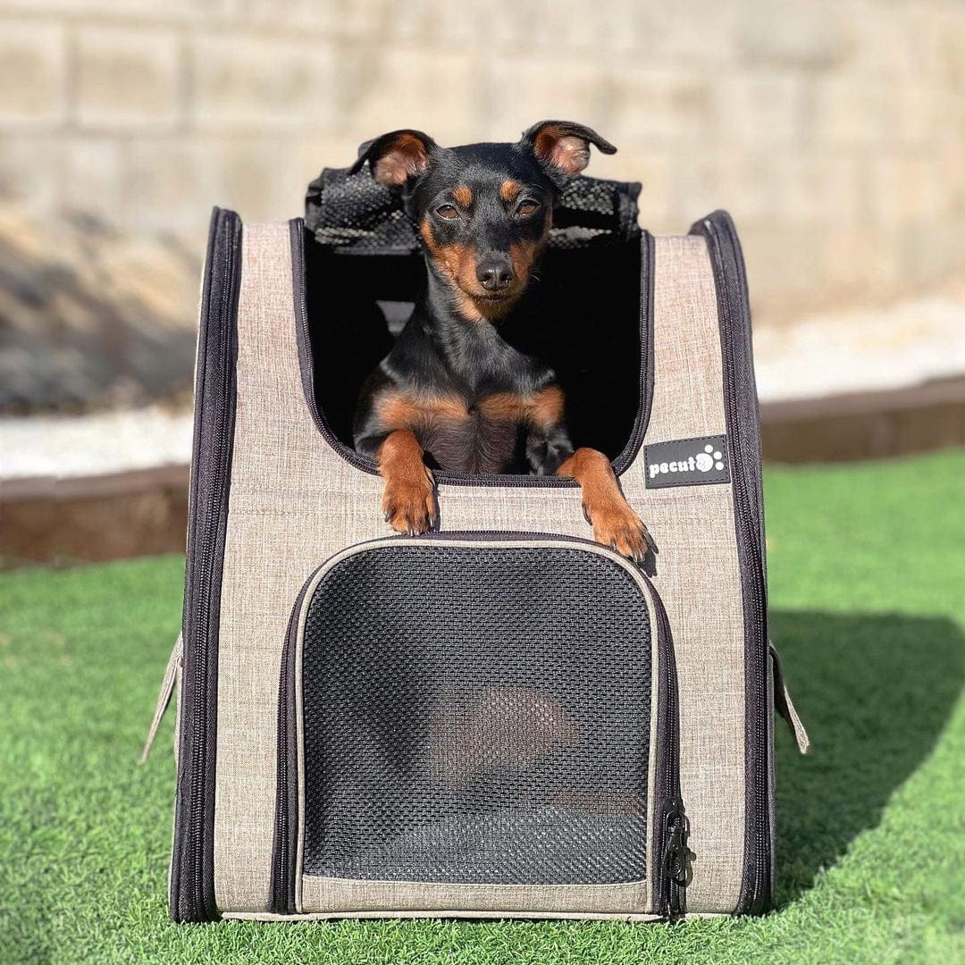 Pecute Cat Carrier Dog Backpack Expandable (Khaki)