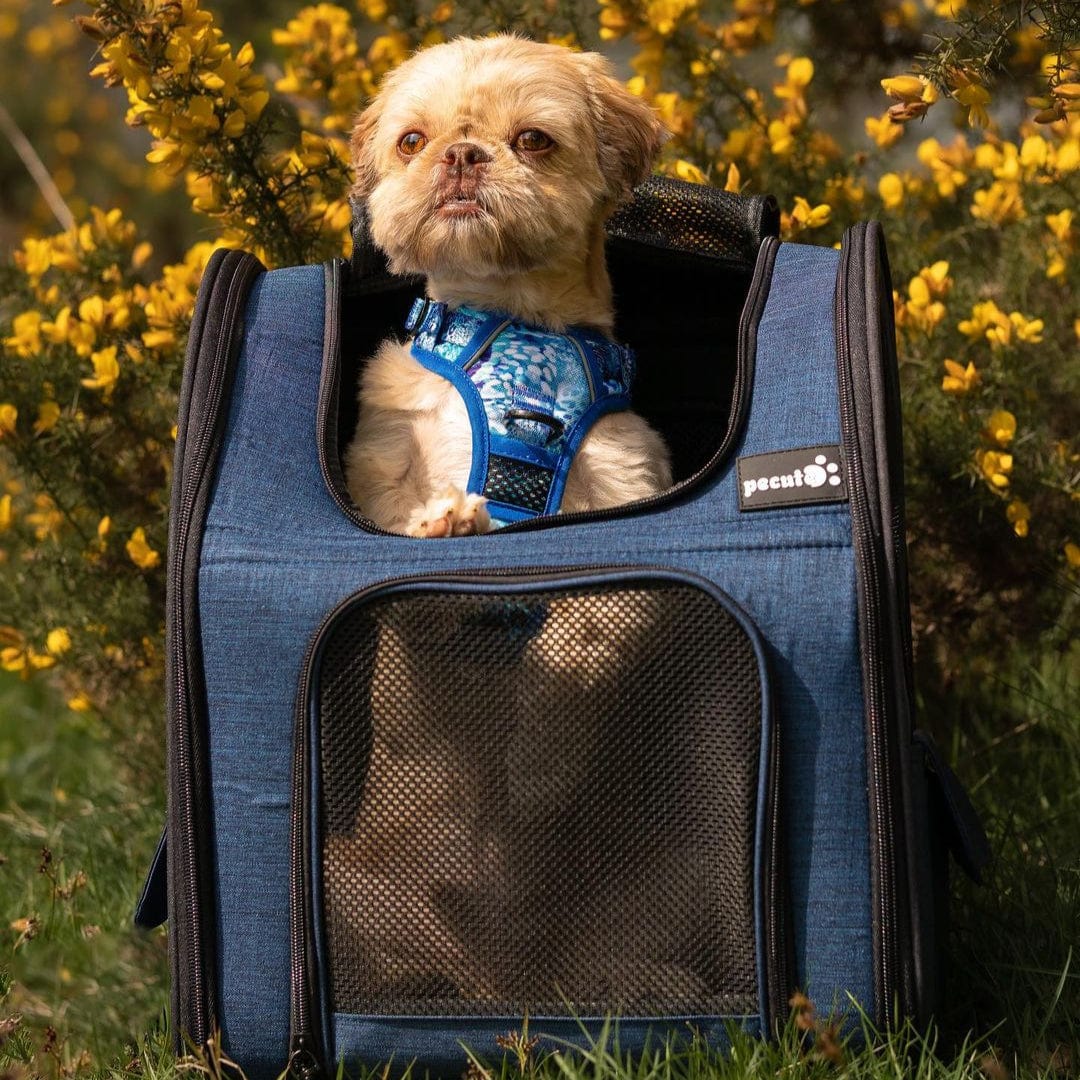 Pecute Cat Carrier Dog Backpack Expandable (Blue)