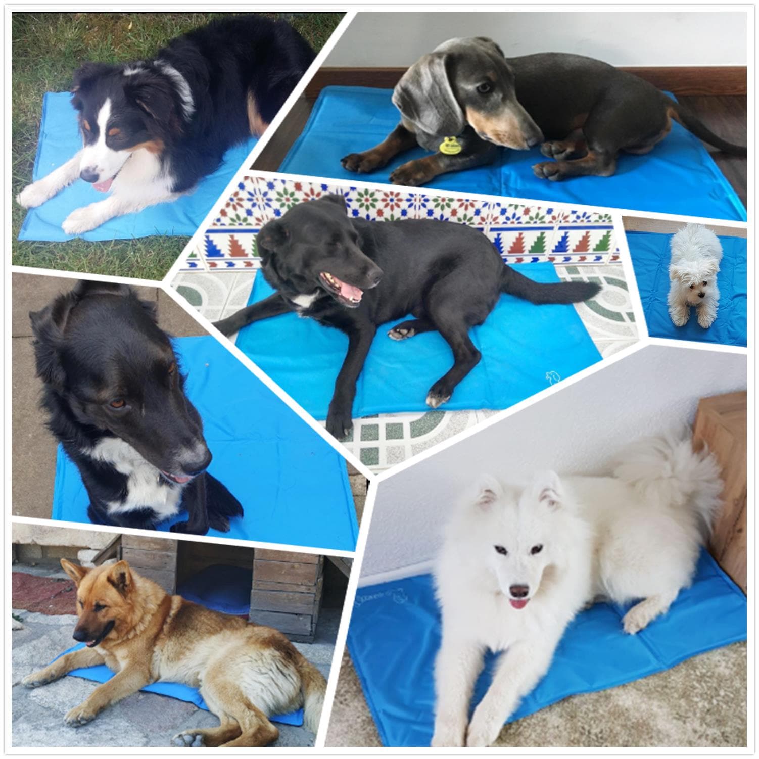 Pecute Dog Cooling Mat Blue(L).