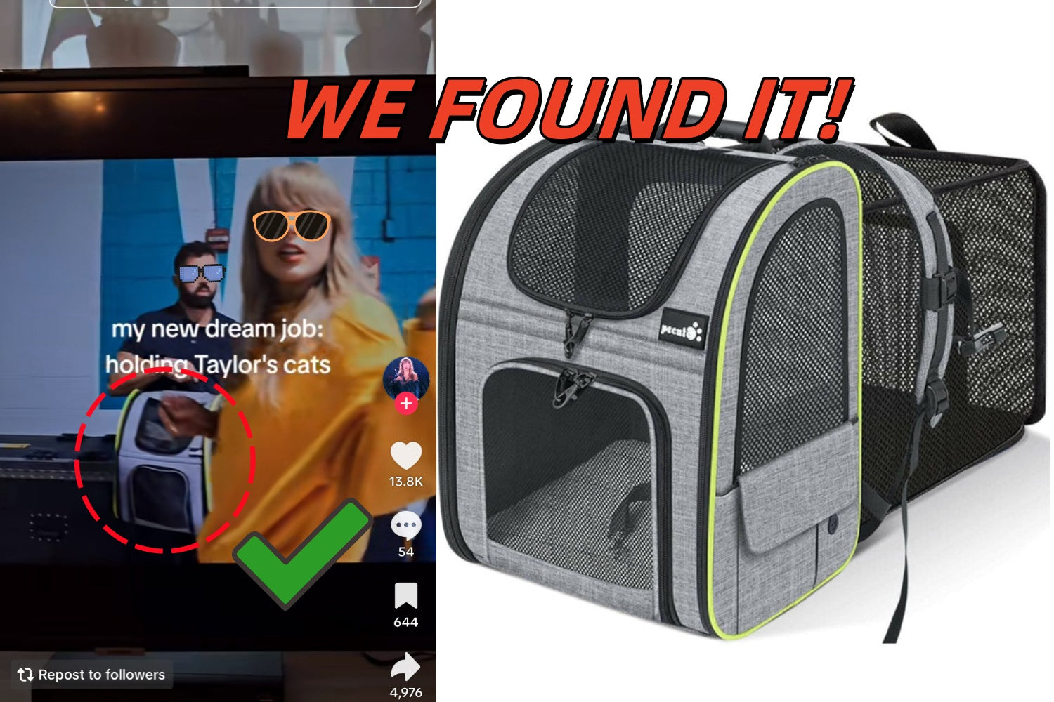 Comparison showing the Pecute cat backpack spotted in Taylor Swift's Eras Tour documentary episode 3 held by a staff member.