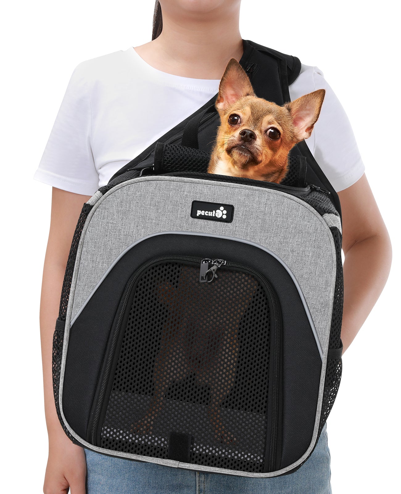 Pecute Small Pet Chest Bag Carrier