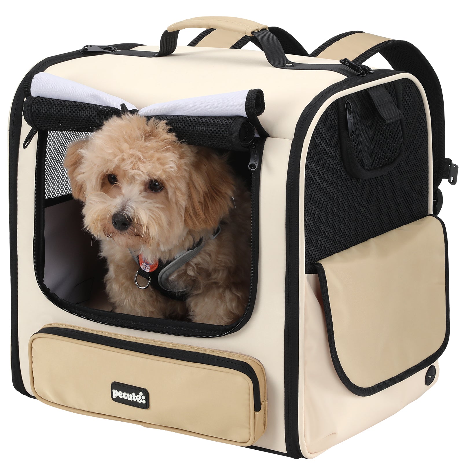 Pecute Hardtop Widened Pet Carrier Backpack