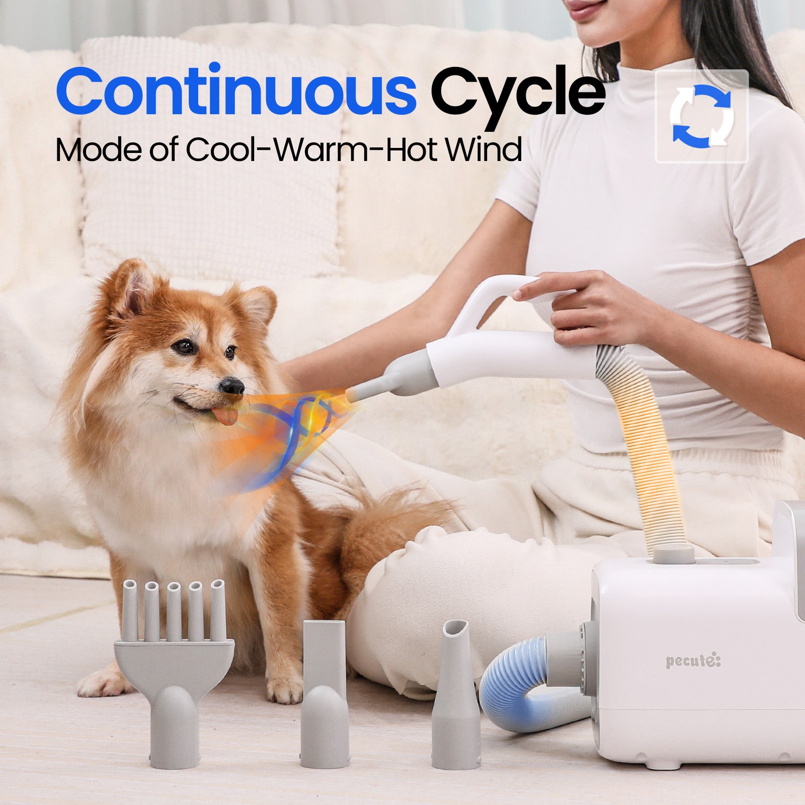 Pecute Dog Dryer with Cool-Warm-Hot Cycle Mode