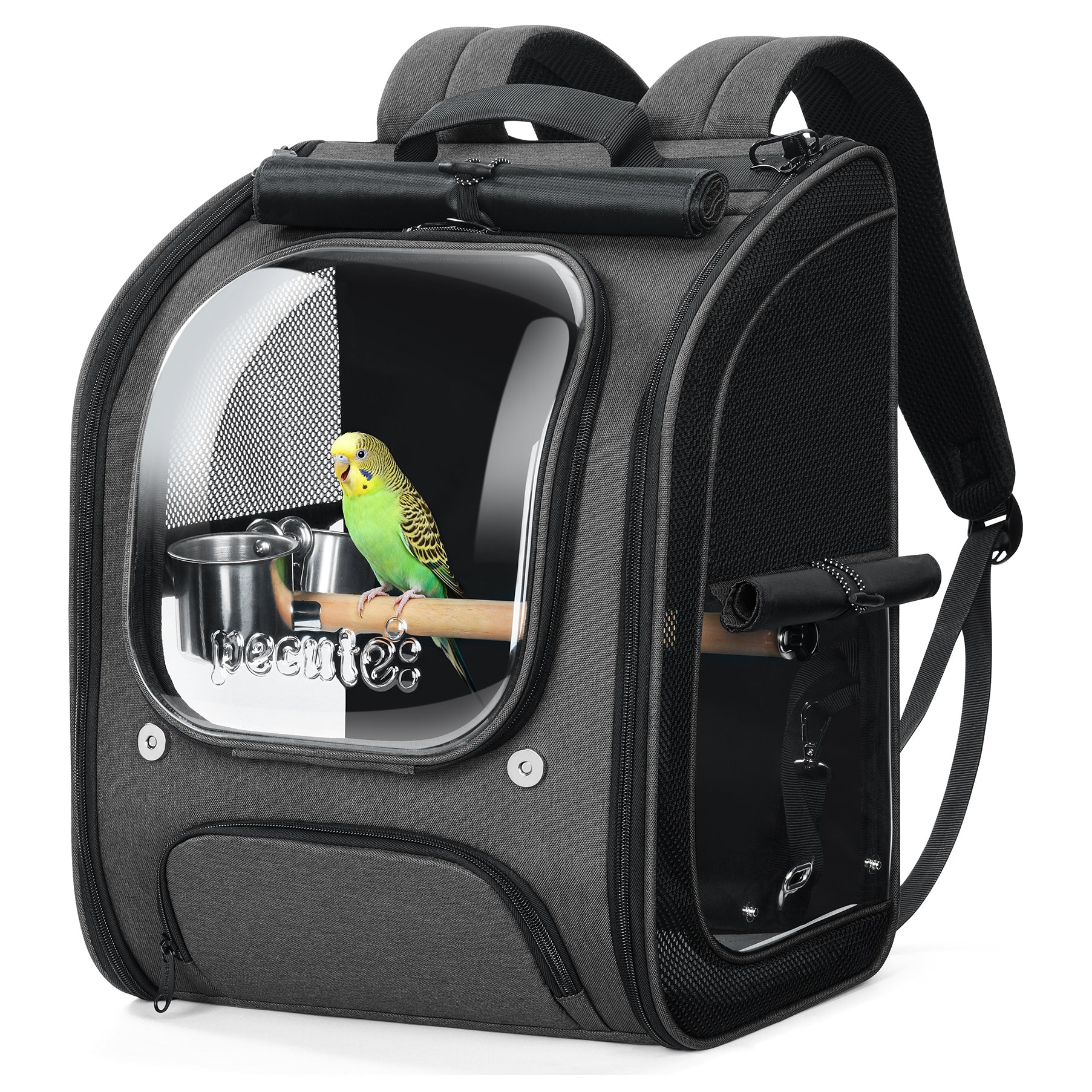 Pecute Bubble Bird Parrot Backpack