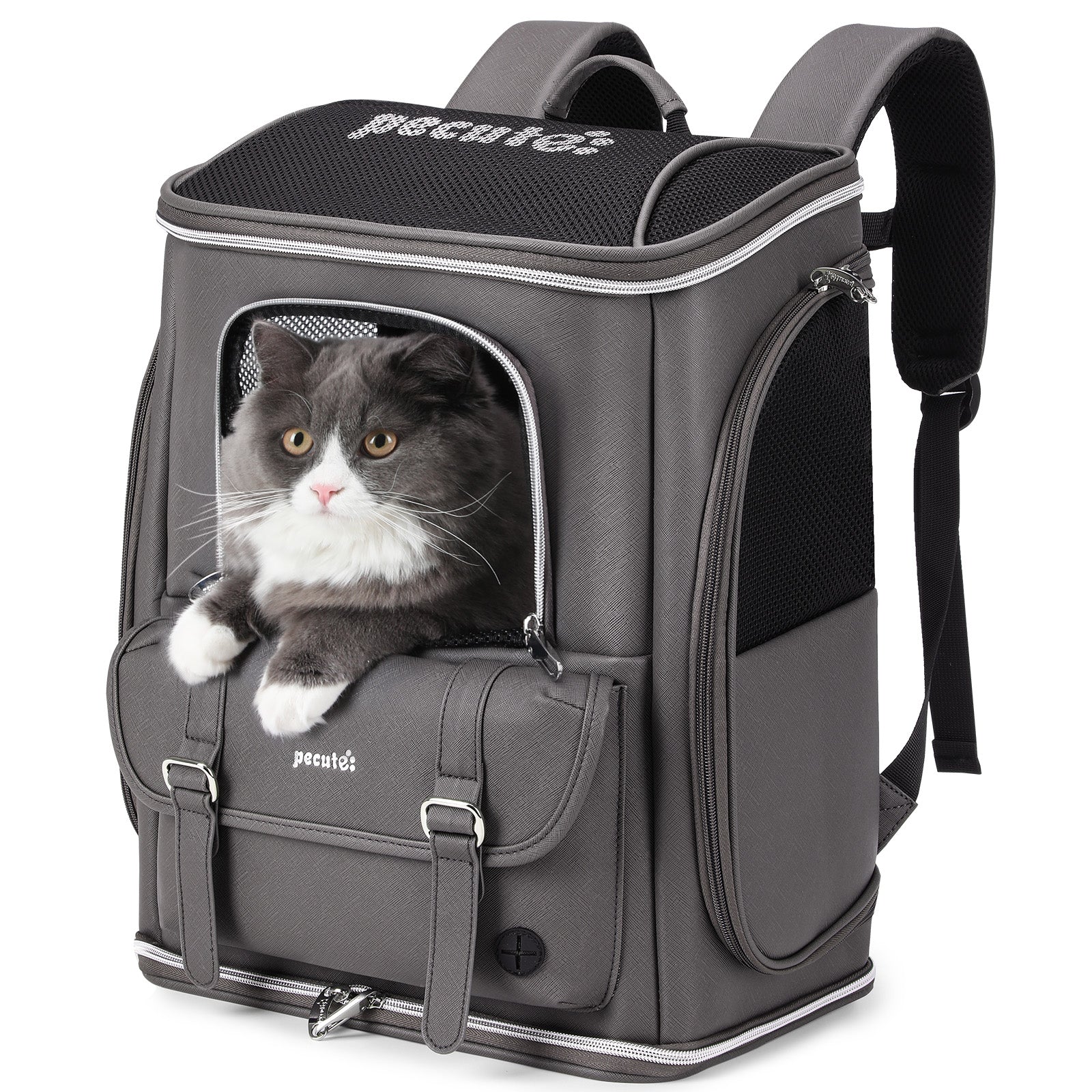 Pecute Anti-Gravity PVC Fashion Pet Backpack