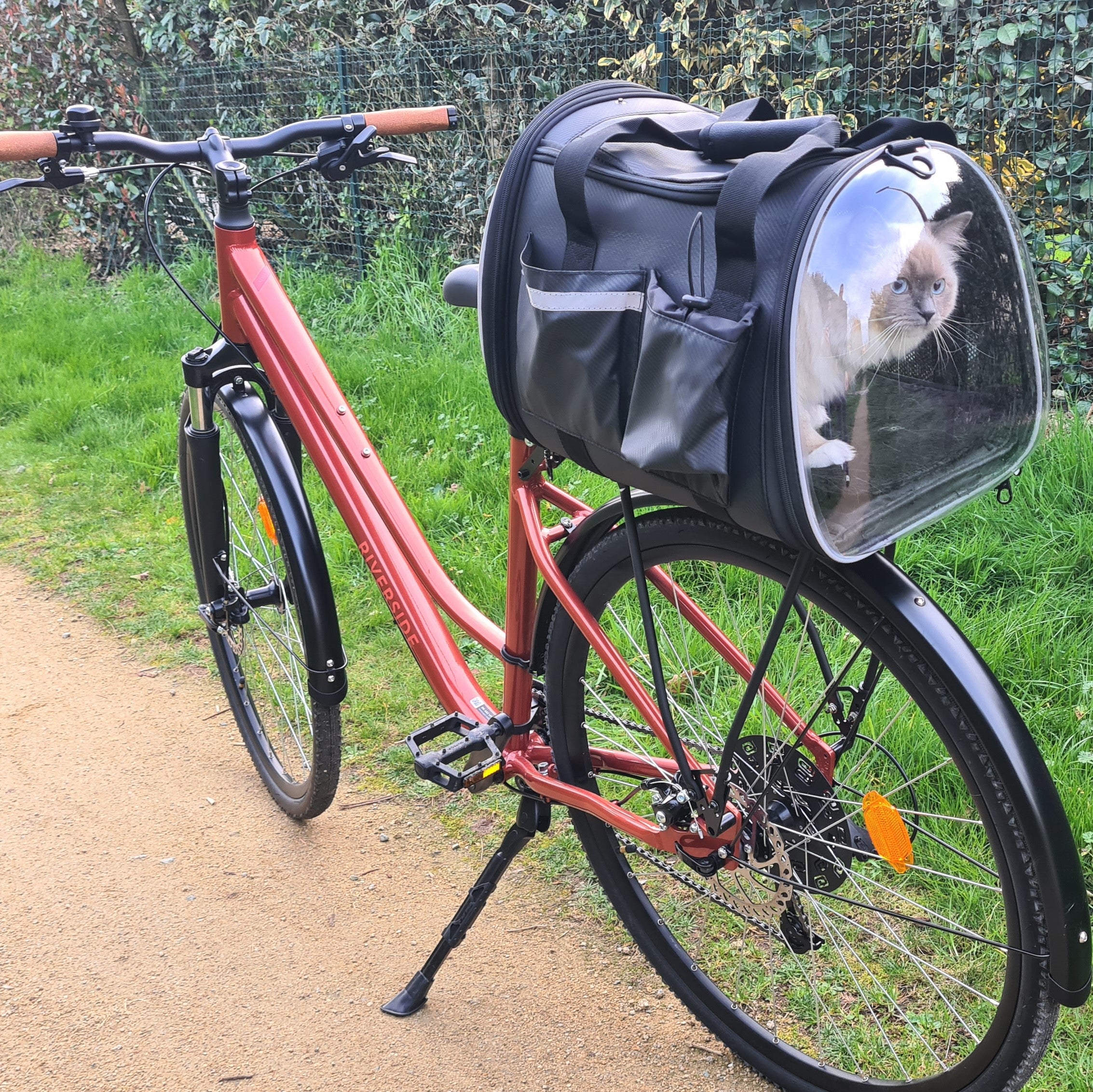 Pecute Sac de transport pour animaux de compagnie avec fenêtre en acrylique Sac de vélo Pillion Panier portable pour animaux de compagnie