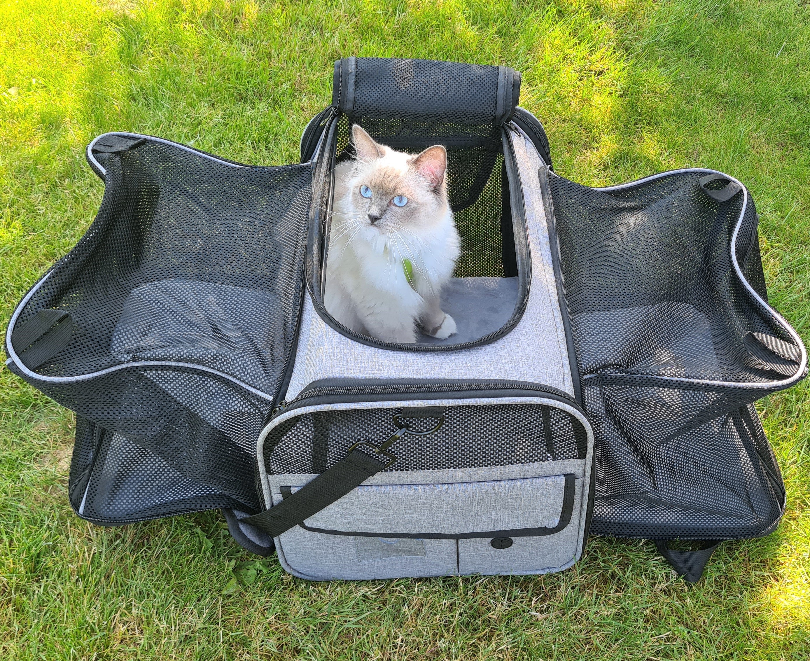 Pecute Cat Carrier Extensible, très grand sac de transport pour animaux de compagnie