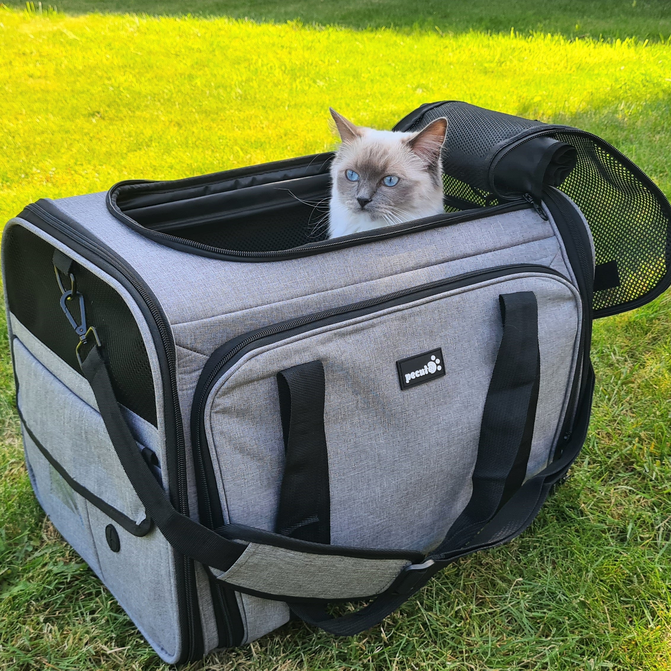 Pecute Cat Carrier Extensible, très grand sac de transport pour animaux de compagnie