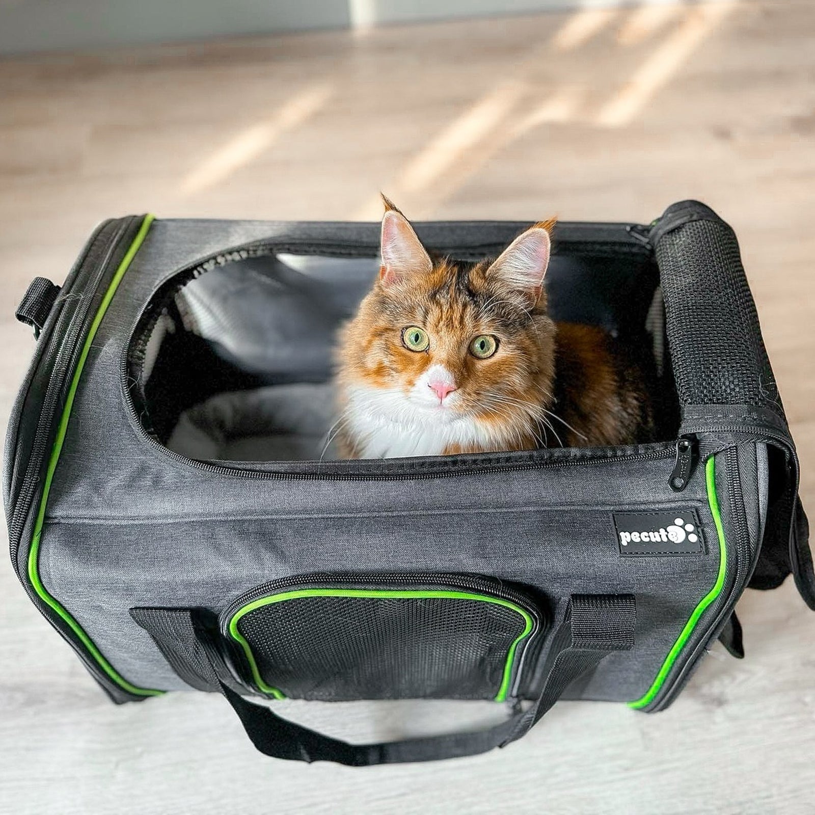 Pecute Bolsa para transportar mascotas grande, bolso para transportar gatos gris oscuro