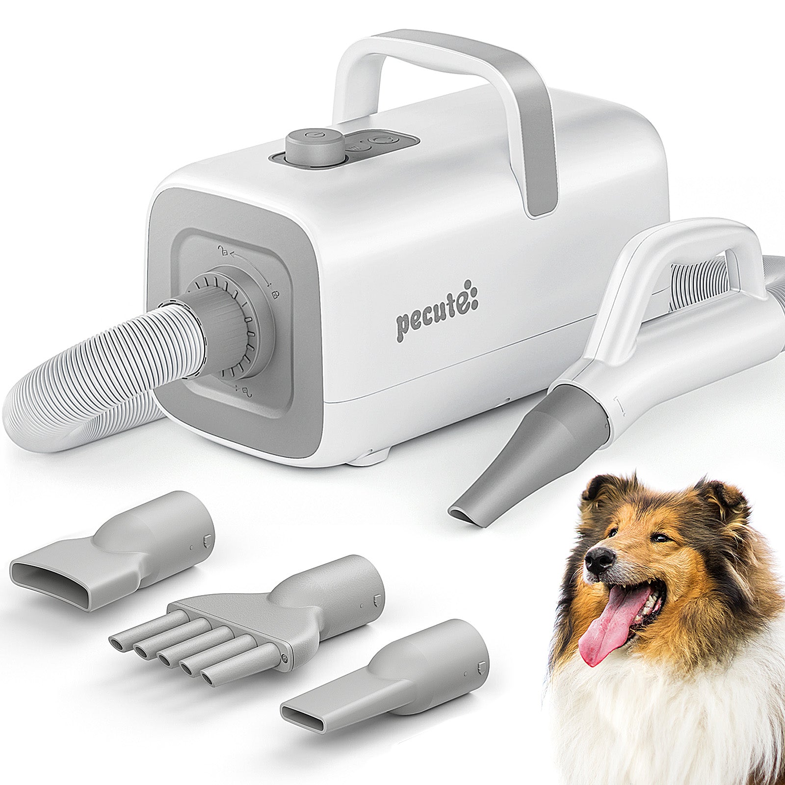 Pecute Dog Dryer with Cool-Warm-Hot Cycle Mode