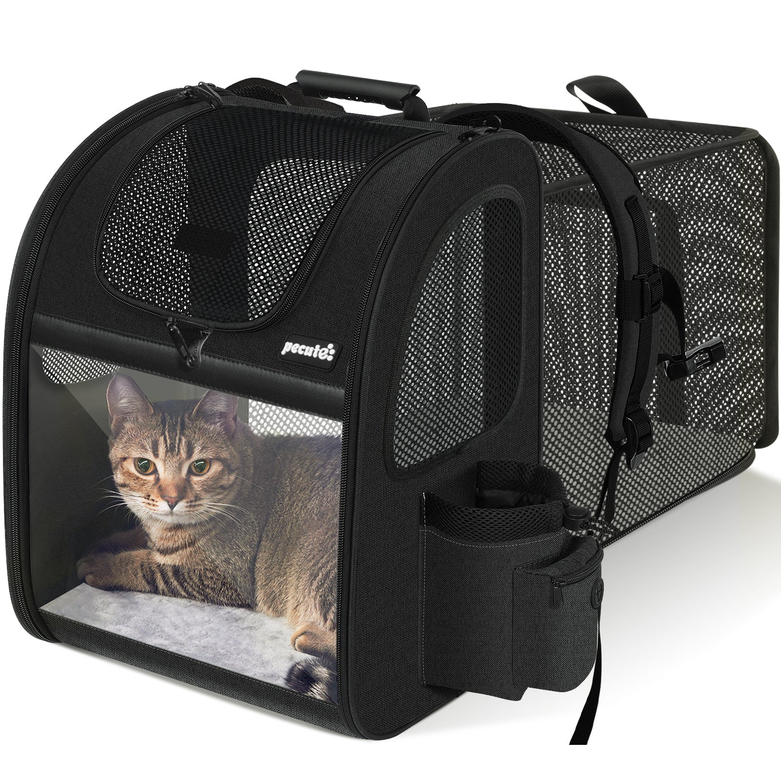 Pecute Expandable Portable Breathable Rucksack Cat Carrier Dog Backpack
