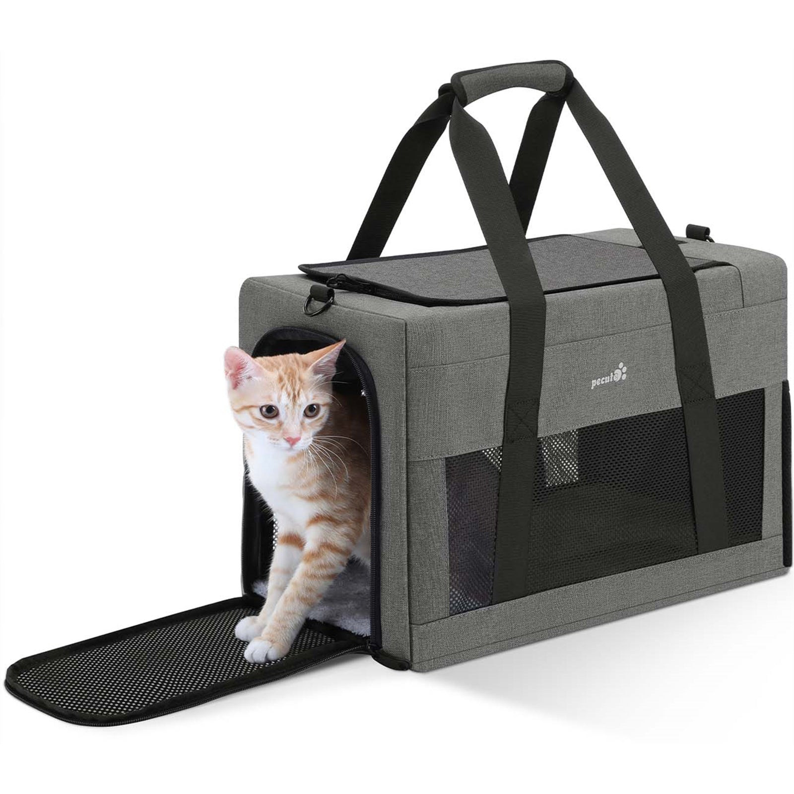 Pecute Cat Handtasche, quadratisch, mit integriertem Rahmen