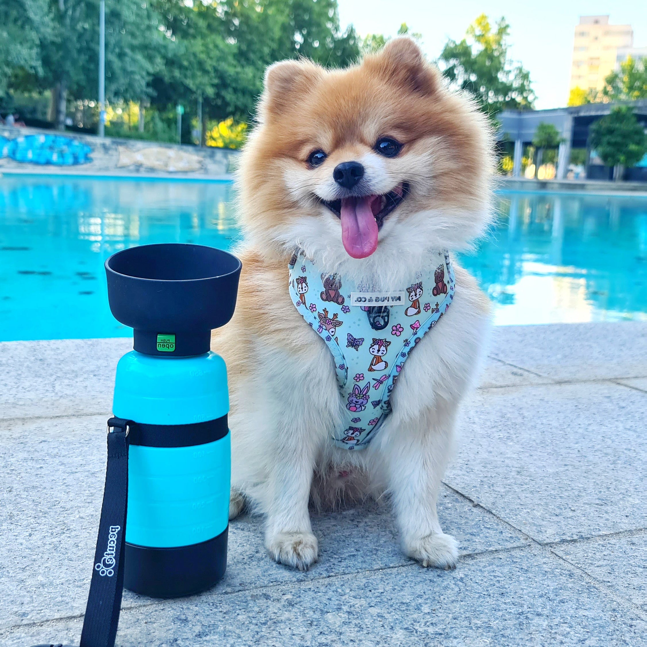 Pecute Blue Portable Dog Water Bottle with Food Container (650ml+150ml)