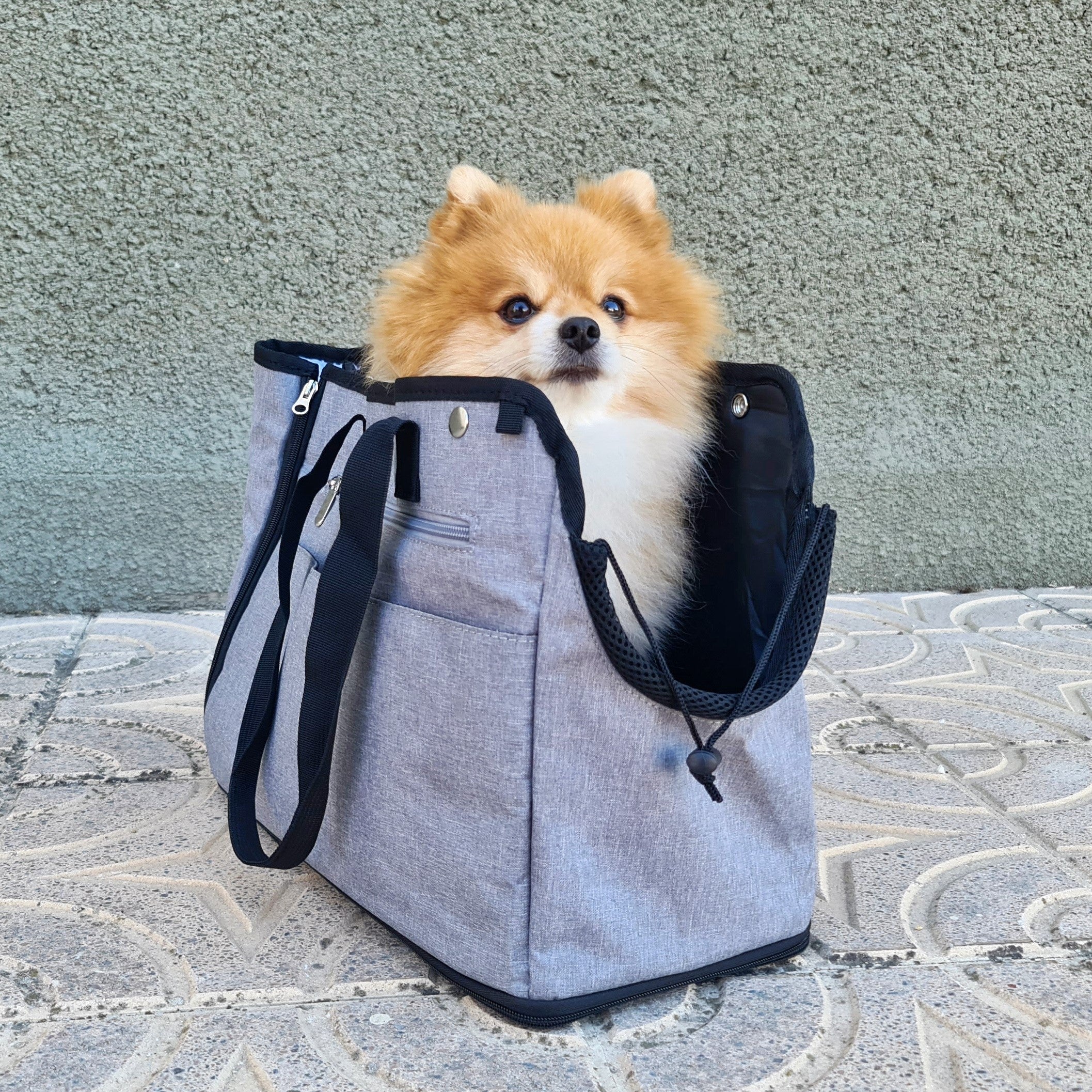 Pecute Pet Carrier for Small Dogs and Cats Tote Bag with Warm Cloth